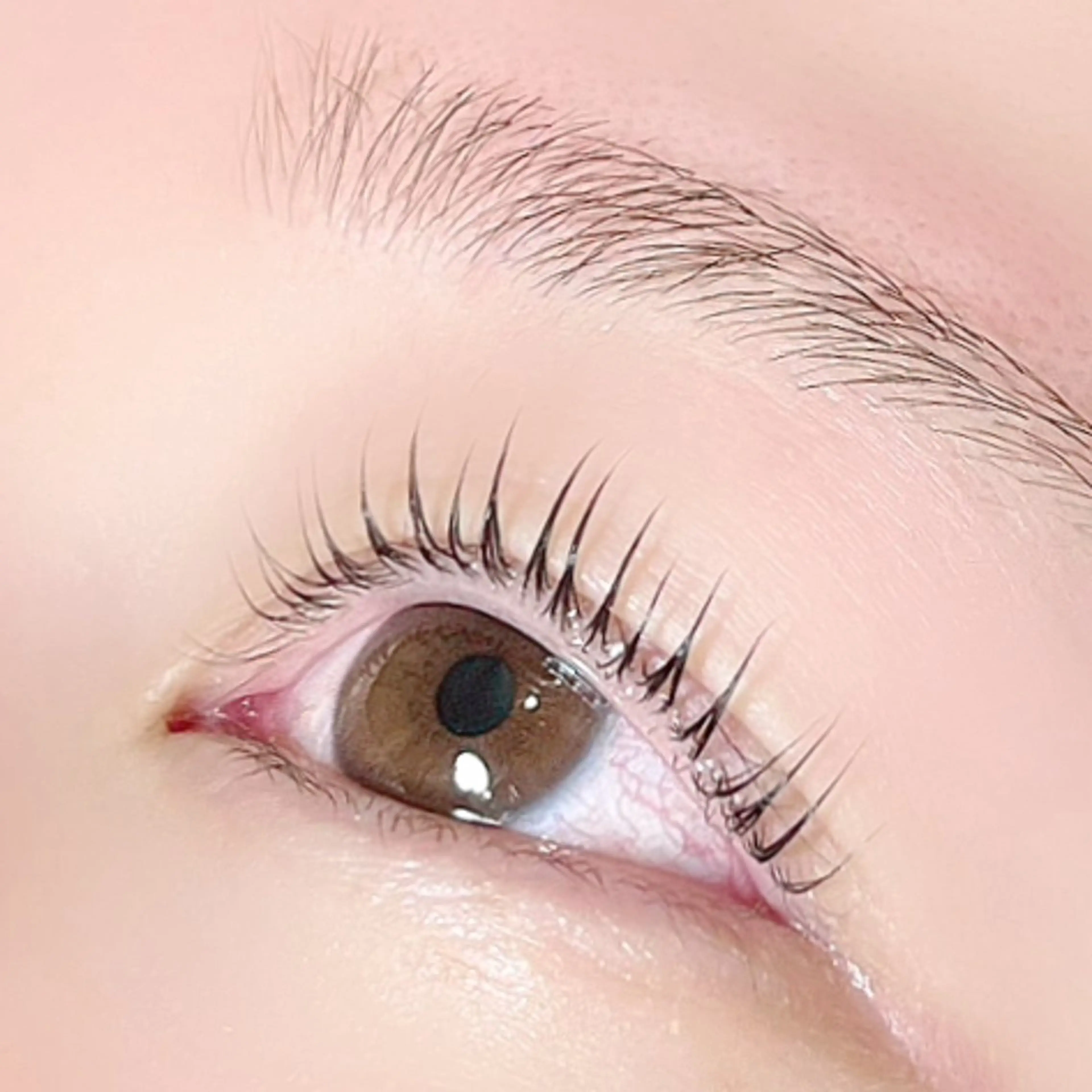 マツエク・マツパ パリジェンヌラッシュリフト Maaz lash 🫧4のマツエク・マツパデザイン