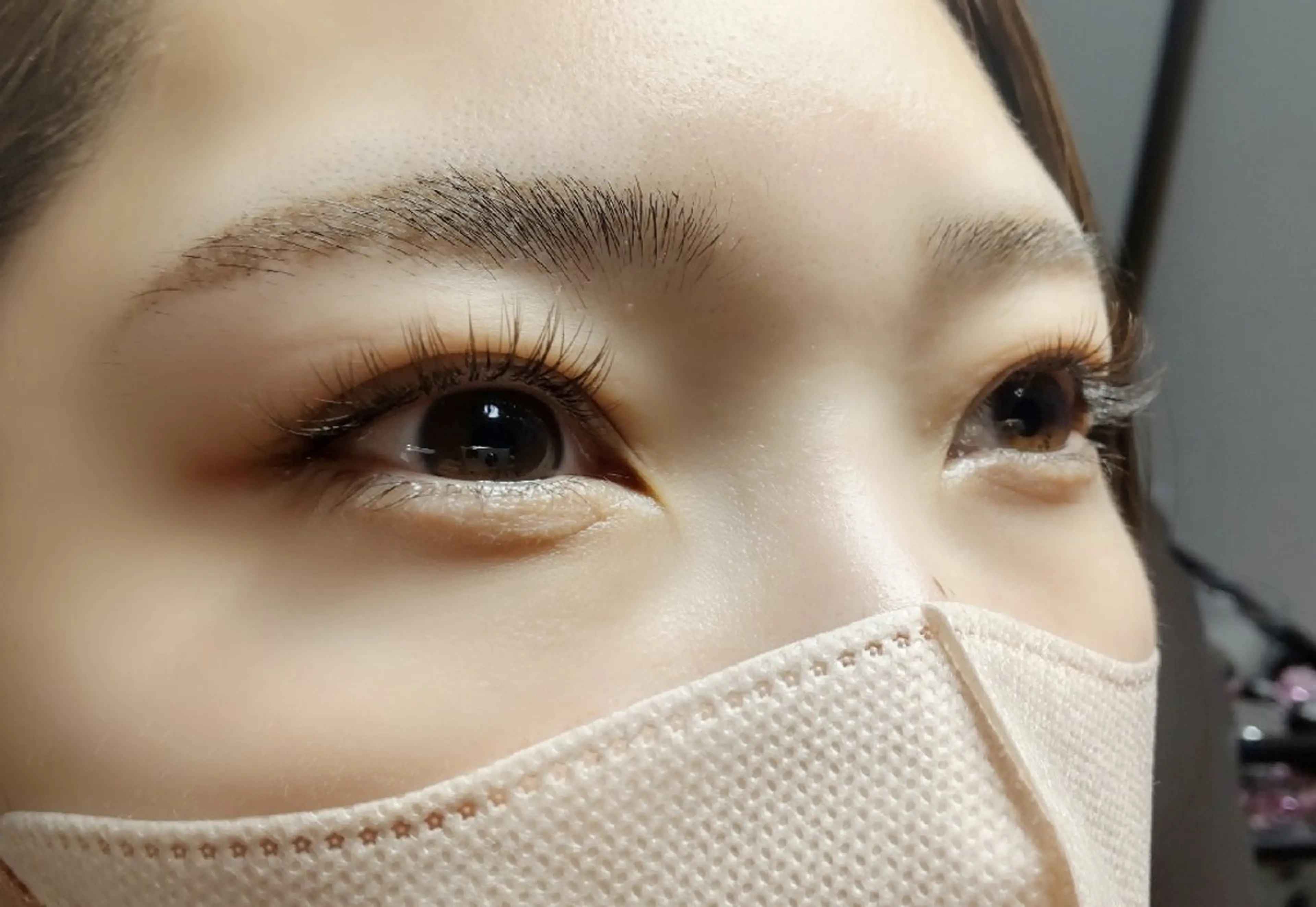 フラットラッシュ(80本)の写真