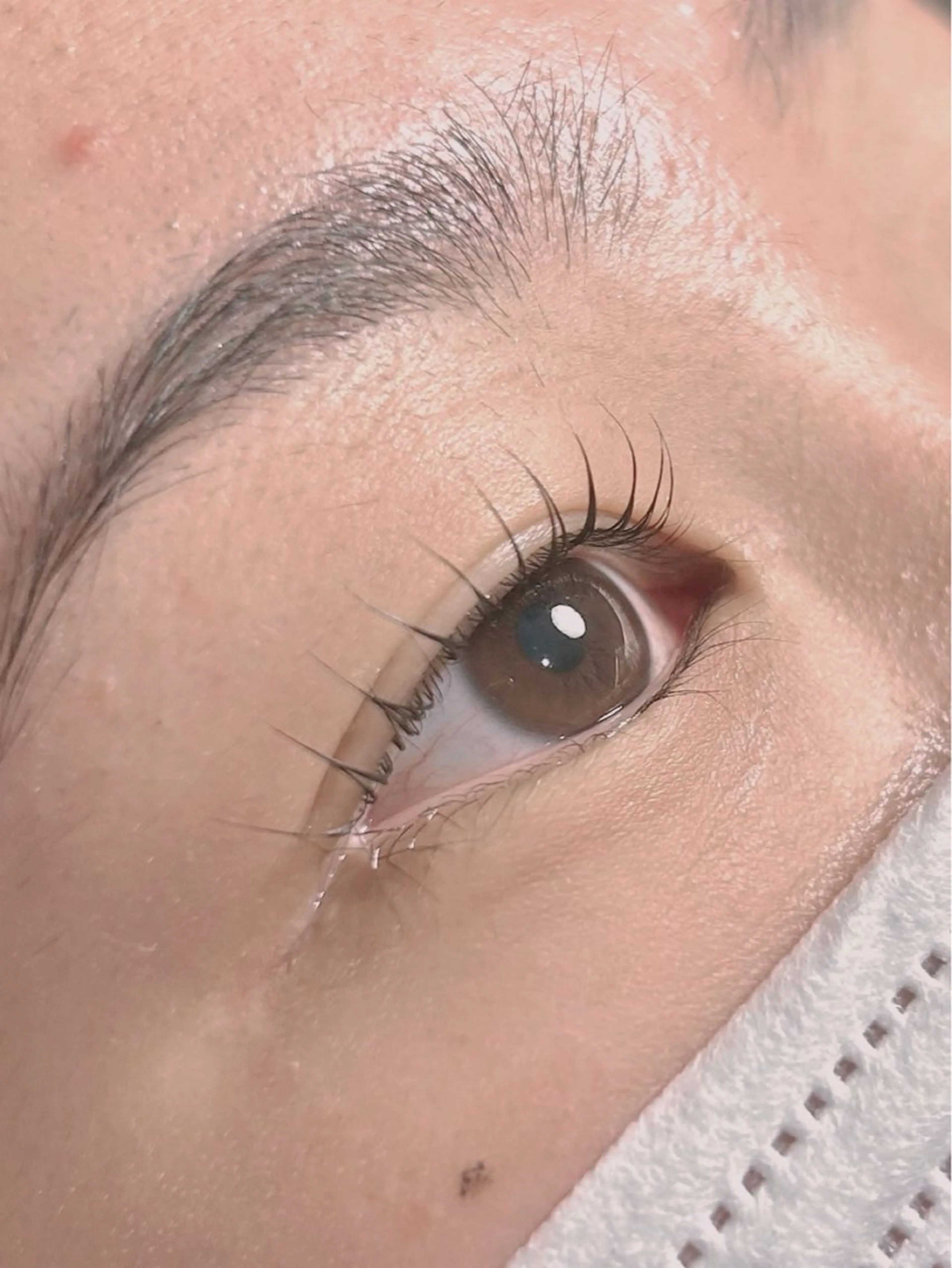 《新規様》まつげパーマの写真