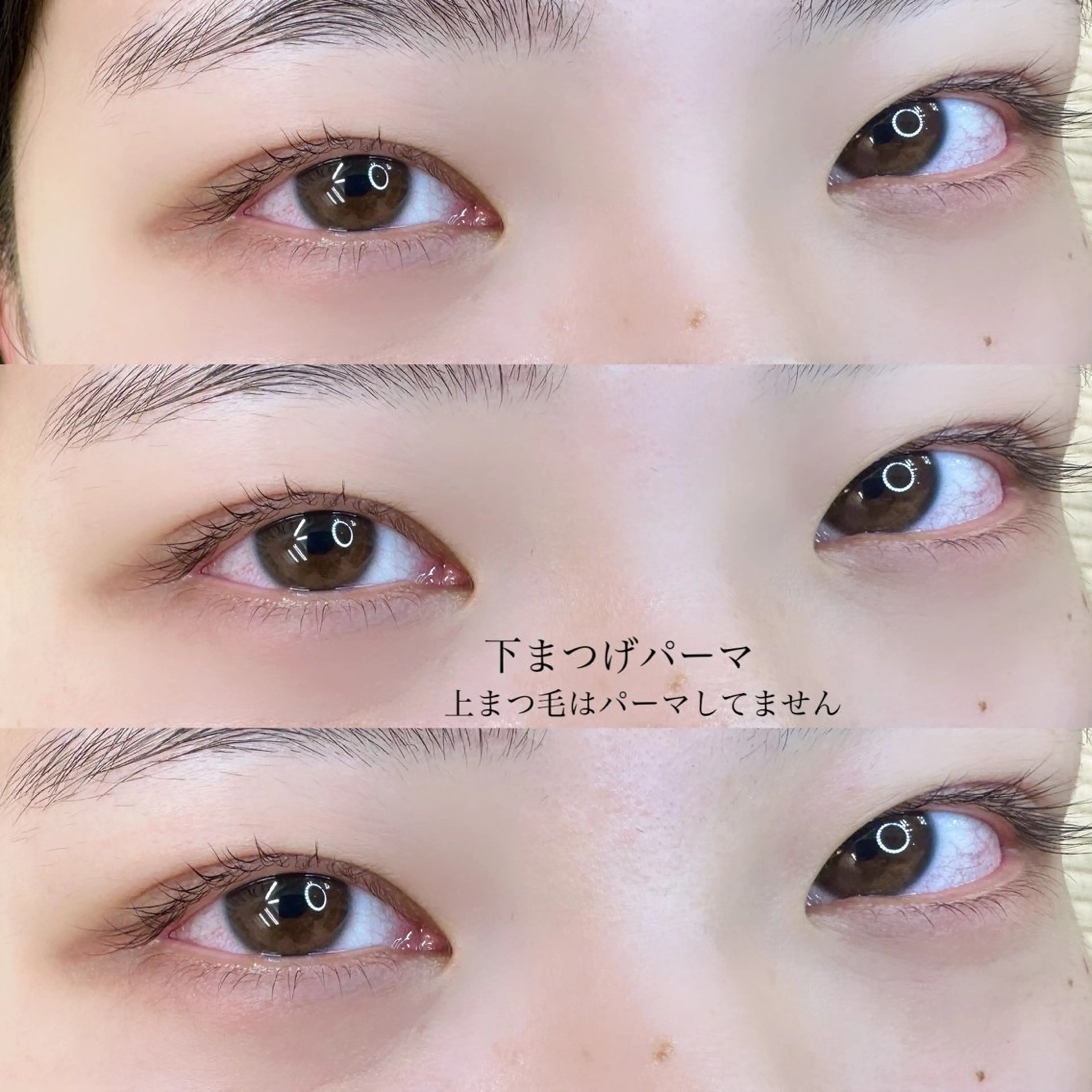 マツエク・マツパ まつげパーマ 下まつげエクステ KAHO 🌙のマツエク・マツパデザイン