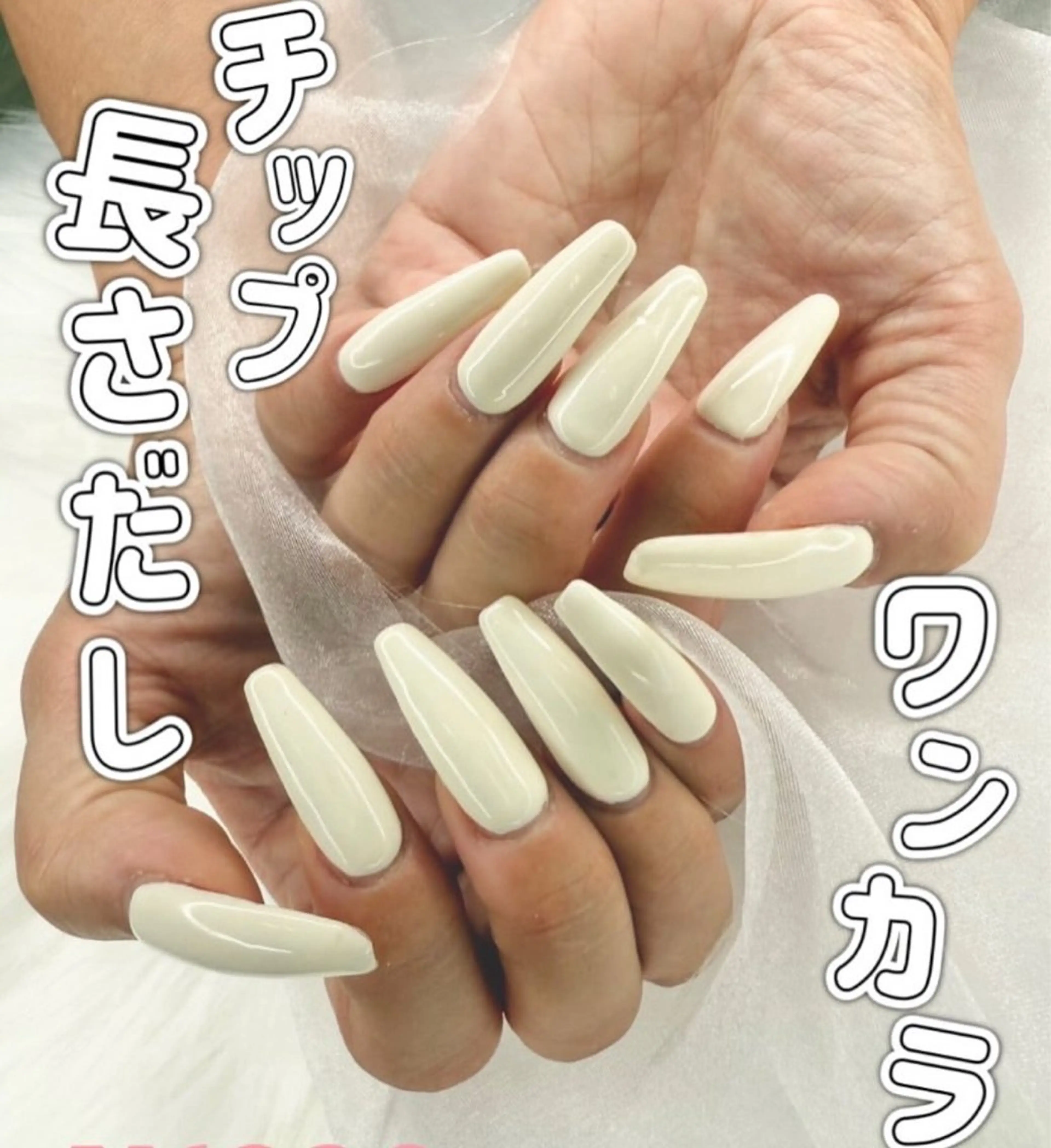 【モデル】チップ長さだし10本☆ワンカラーorラメグラデーション　7990円の写真