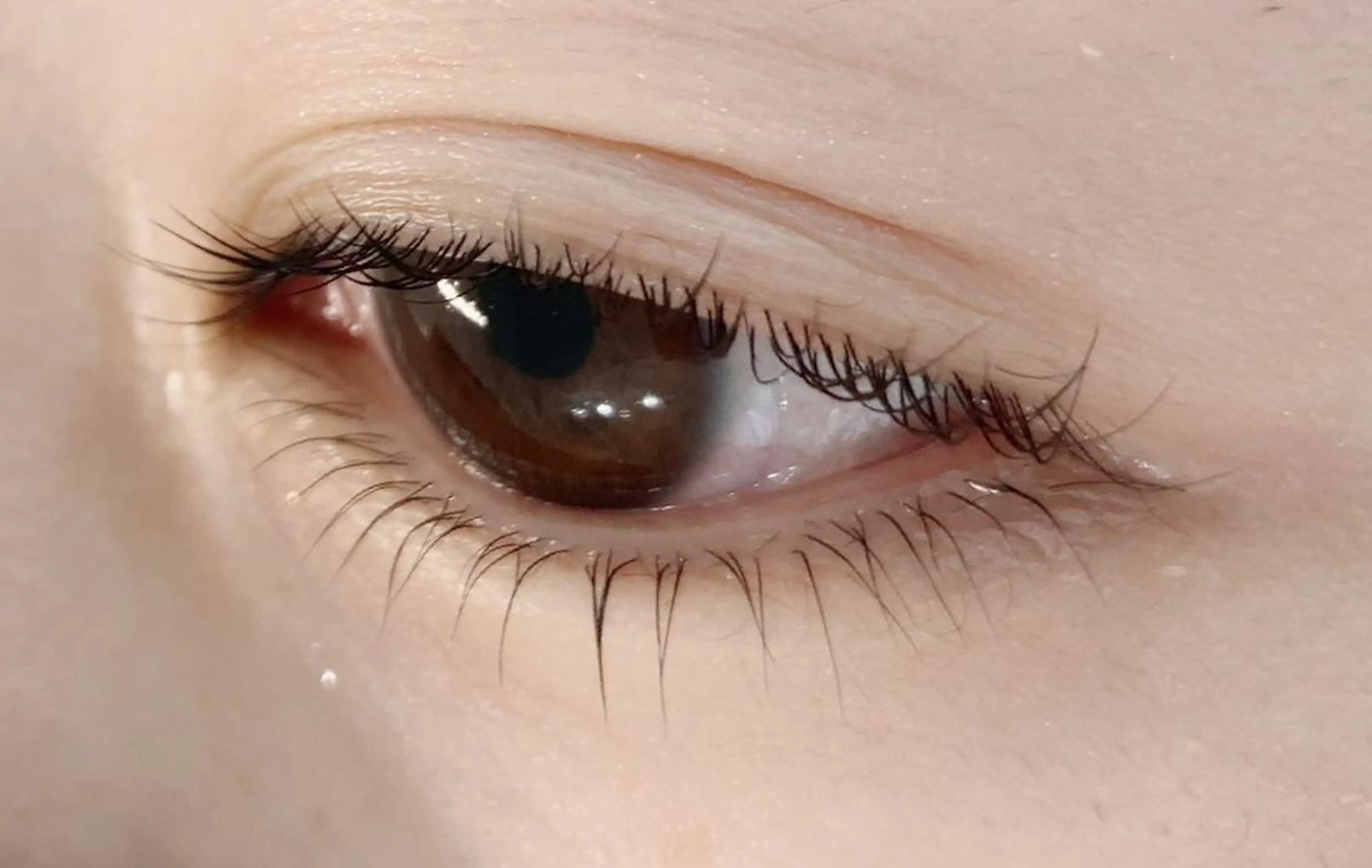 マツエク・マツパ まつげパーマ 下まつげエクステ Bruges 自由が丘の眉毛・アイブロウイメージ