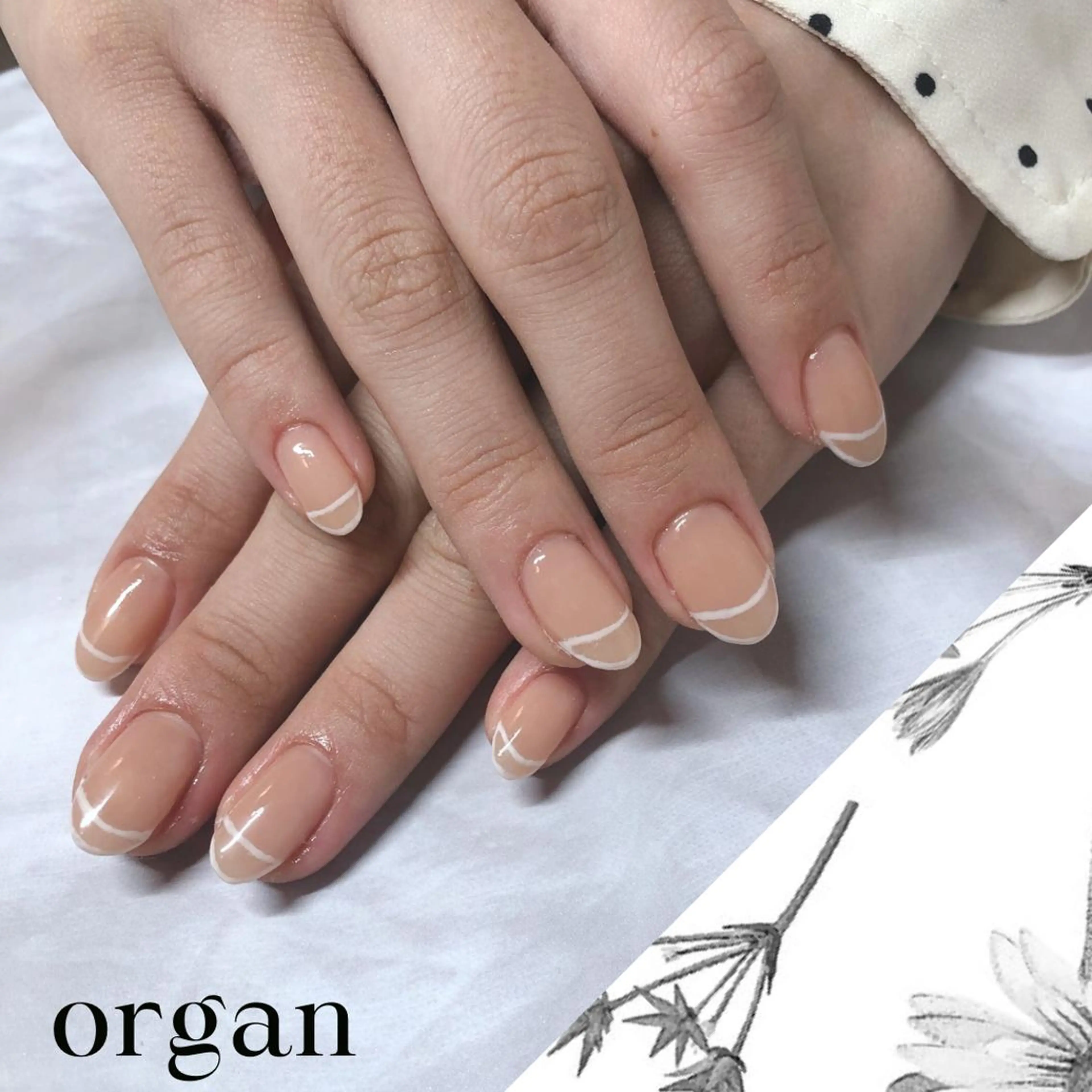 ネイル フレンチネイル 【ORGAN】 nailのネイルデザイン