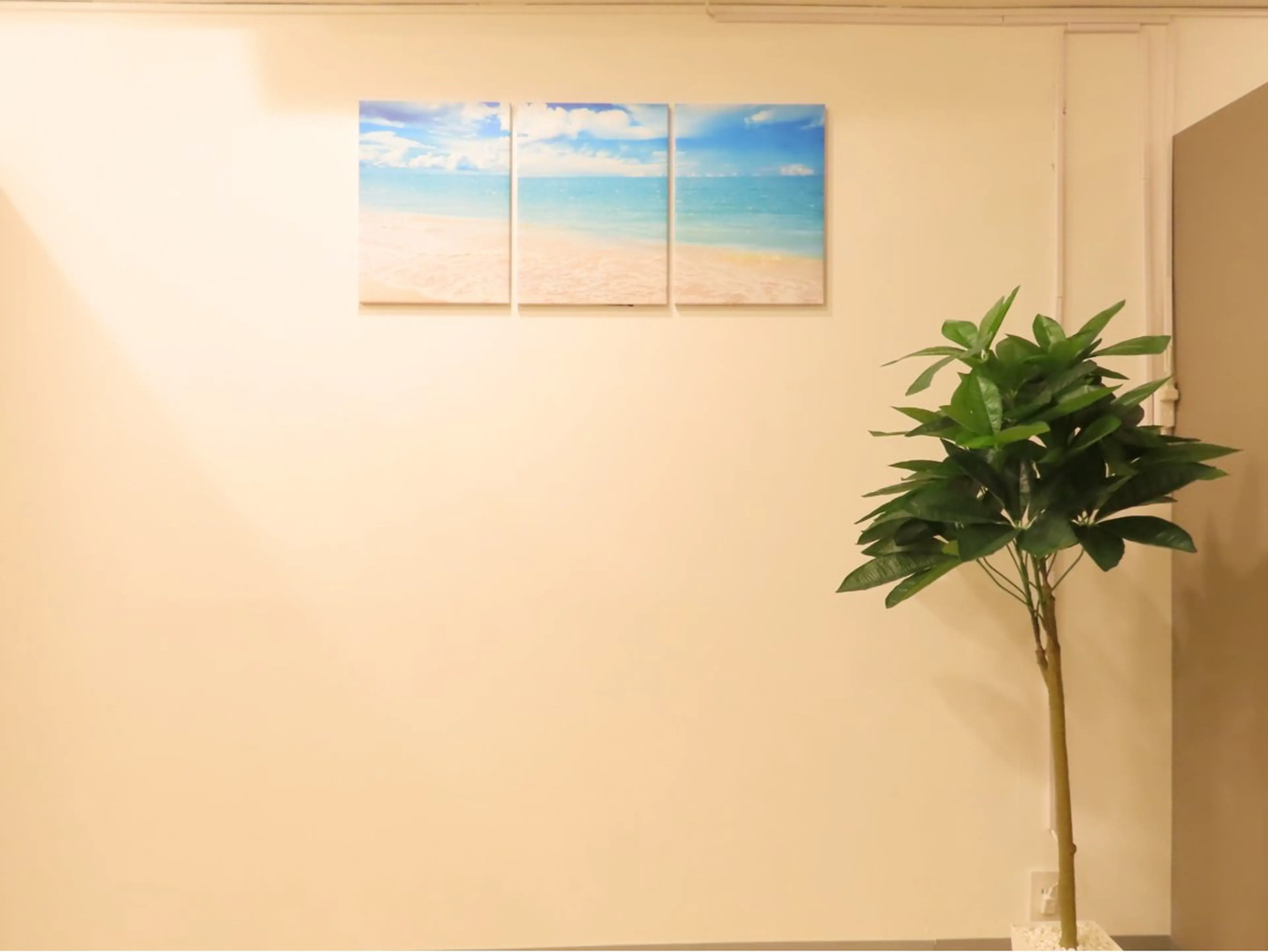 脱毛サロン　ニカ所属・☀️脱毛・美容矯正 サロン　ニカ☀️のエステ・リラクイメージ