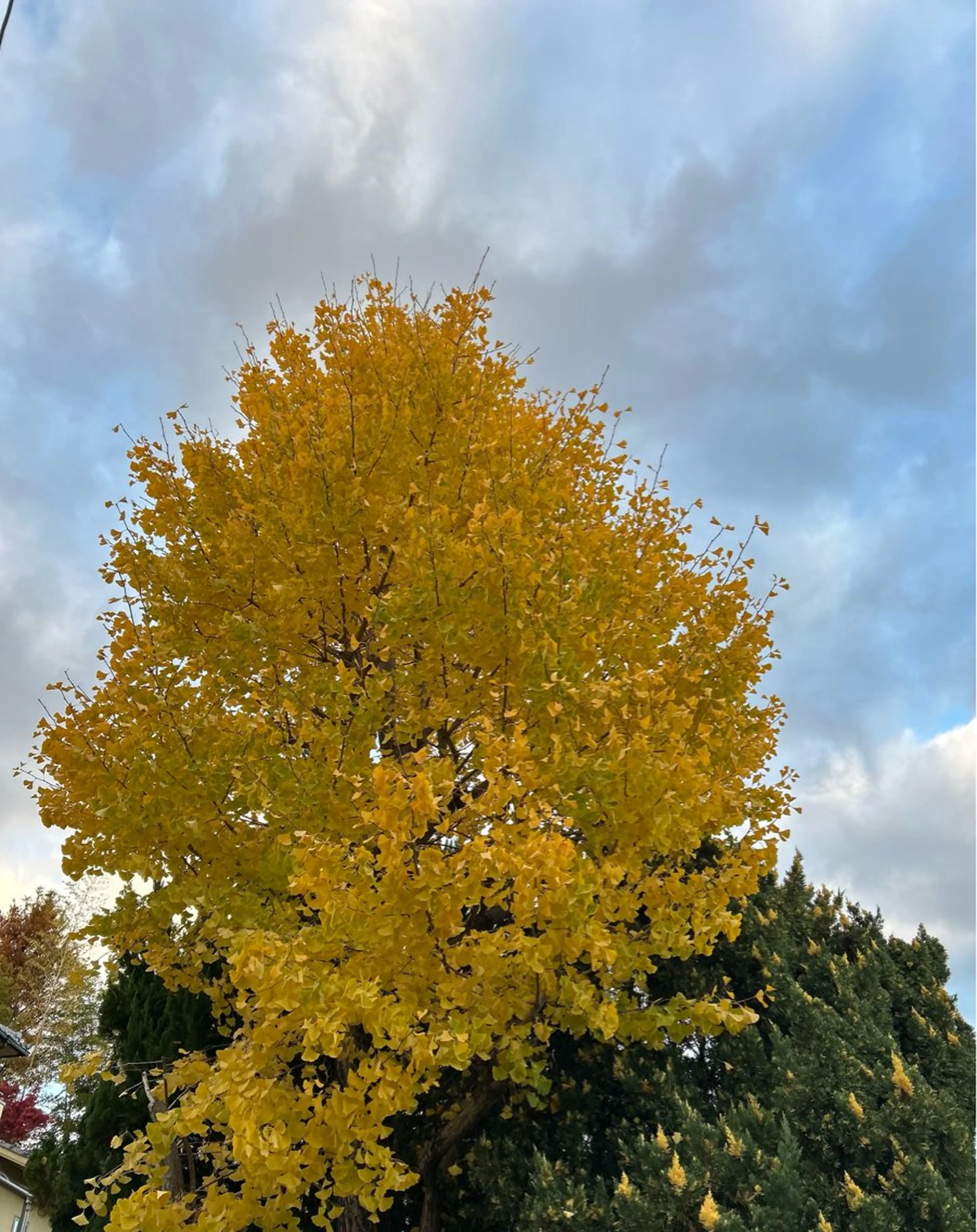 小顔×肌質改善サロン soin〔ソワン〕のエステ・リラクイメージ