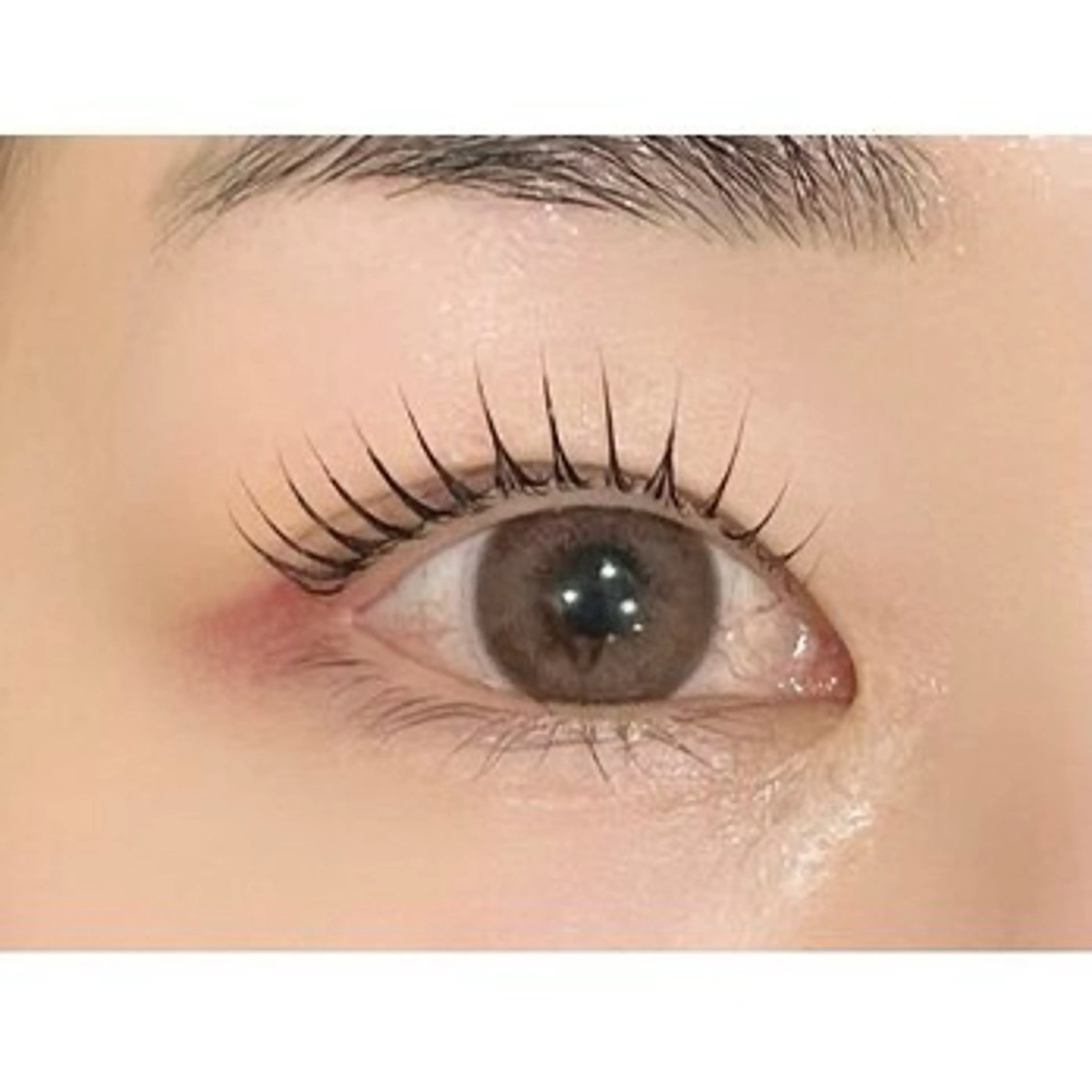 🖤パリジェンヌラッシュリフト🖤アイシャンプー付の写真