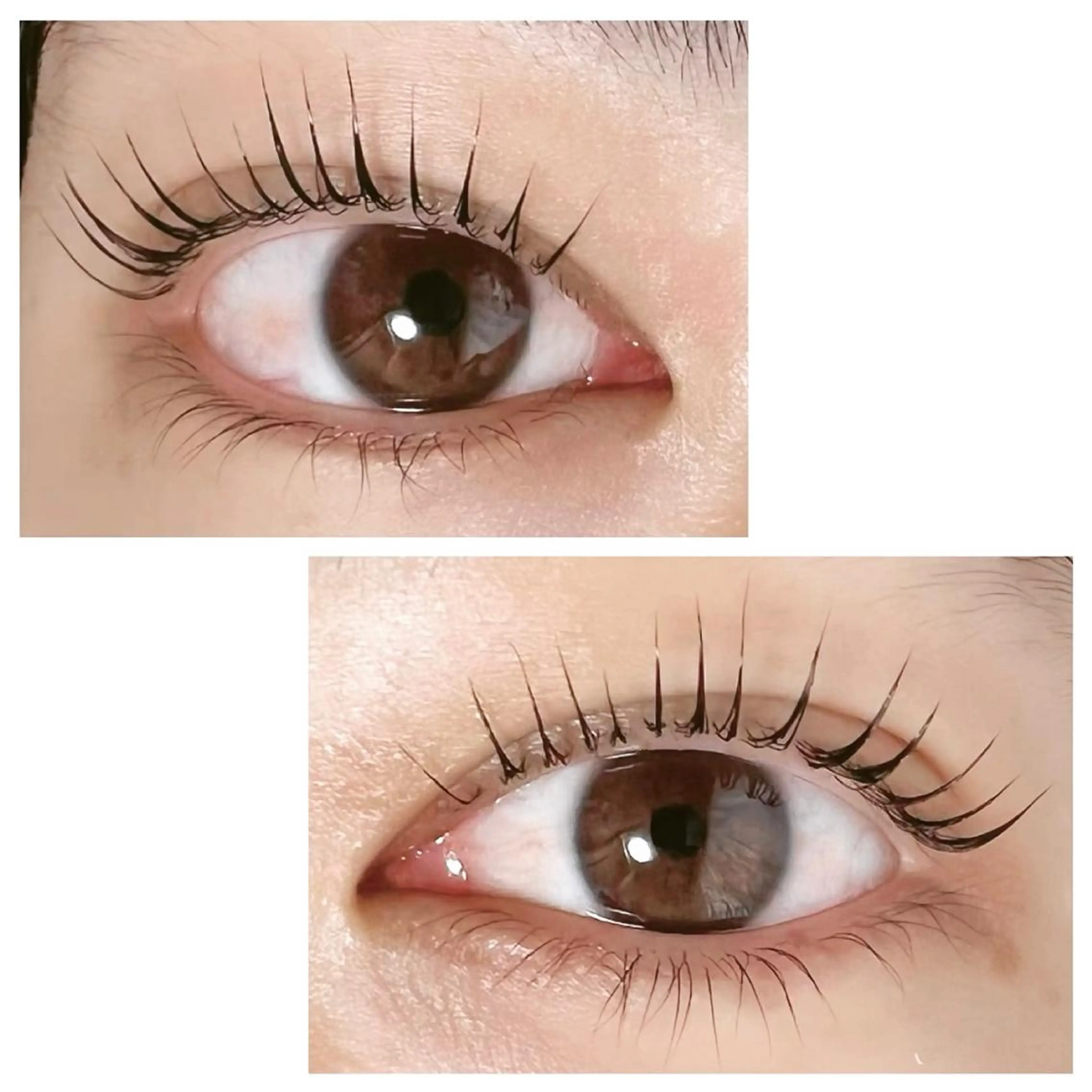 マツエク・マツパ Adorer(アドレ)所属・Adorer 🍀アドレ🍀のマツエク・マツパデザイン