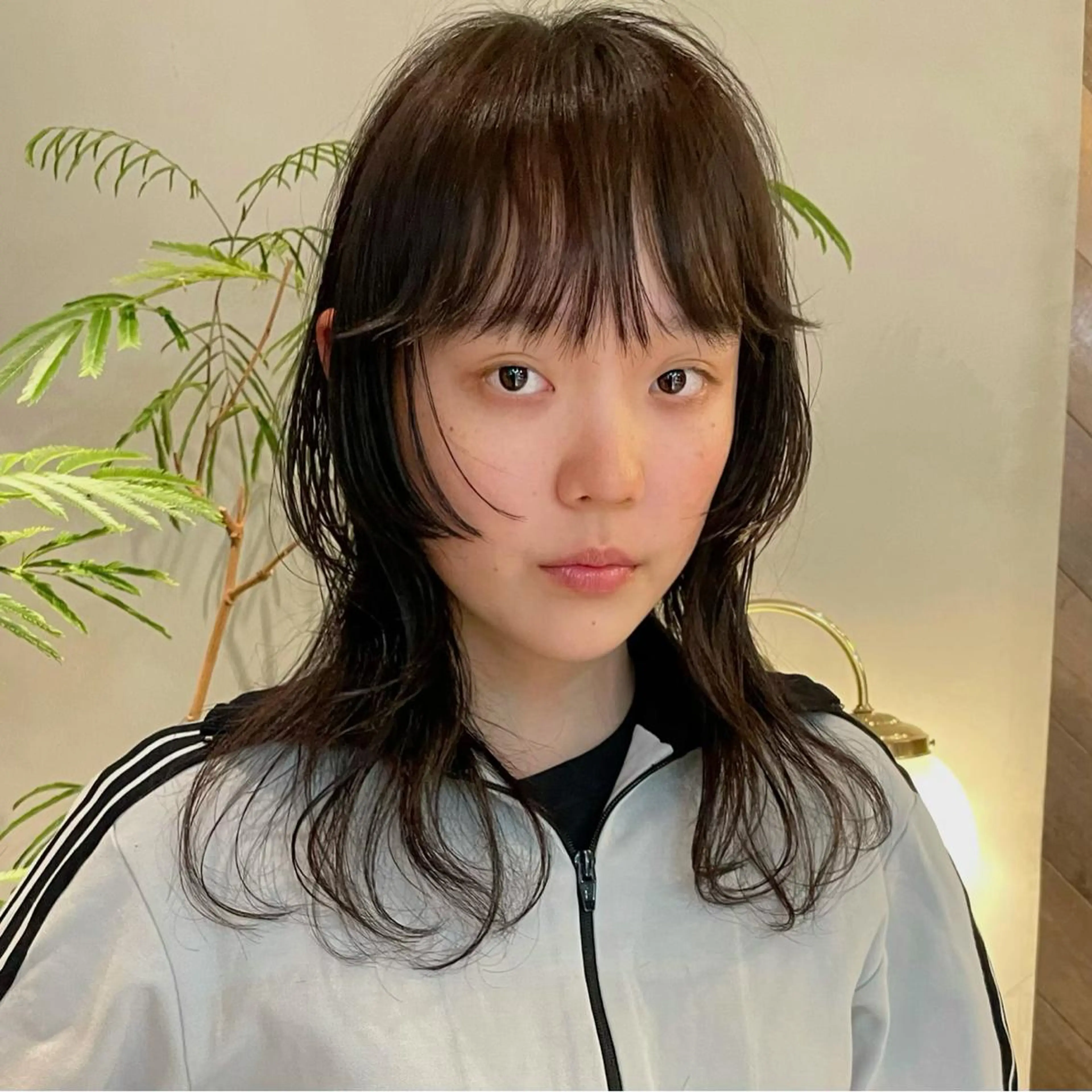 ミディアム カラー ウルフカット カット ヘアカラー トリートメント SALOWIN所属・ブリーチ🧹 ボブ✨レイヤーのヘアスタイル