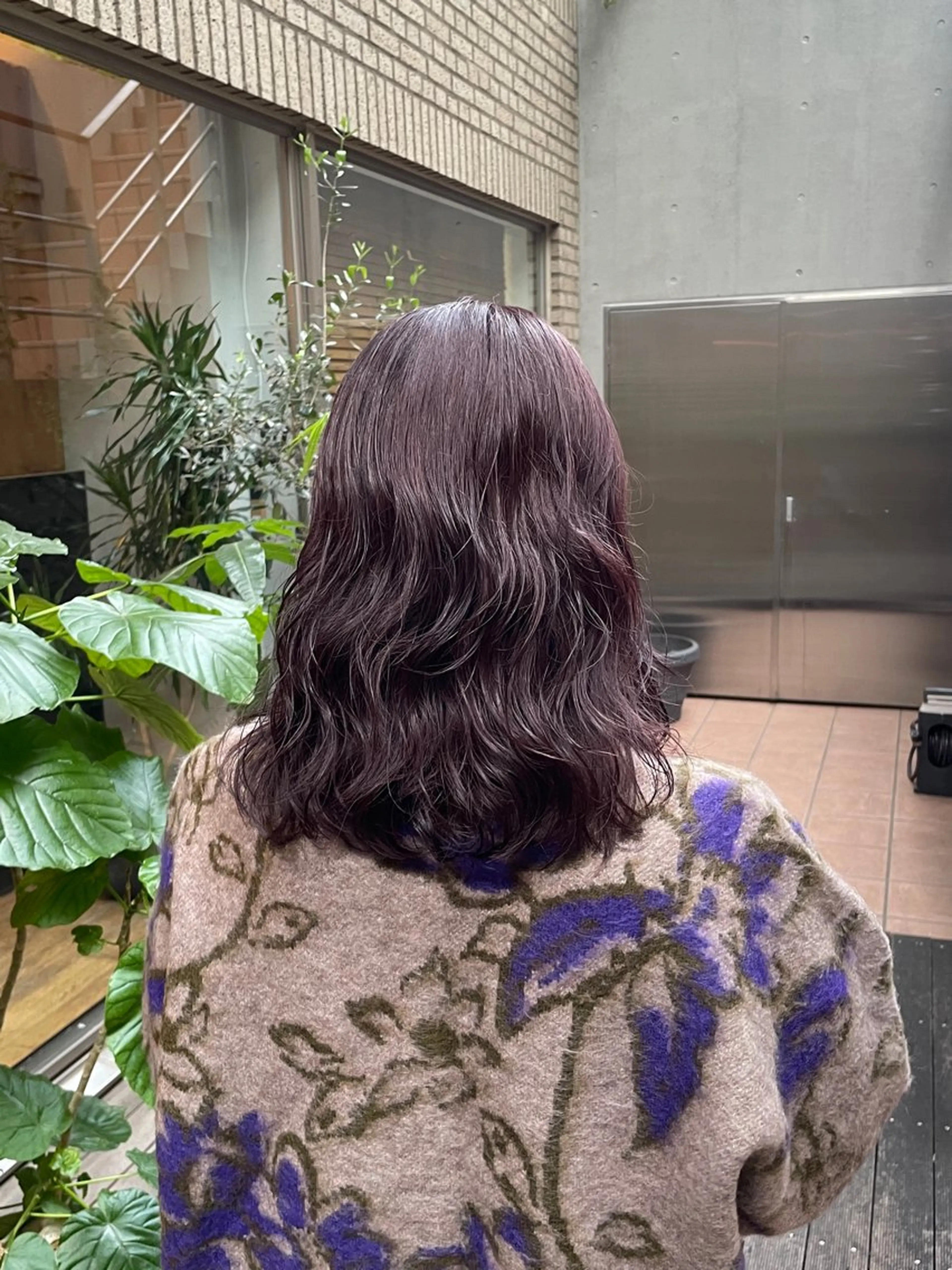 ［再来］color🤍の写真