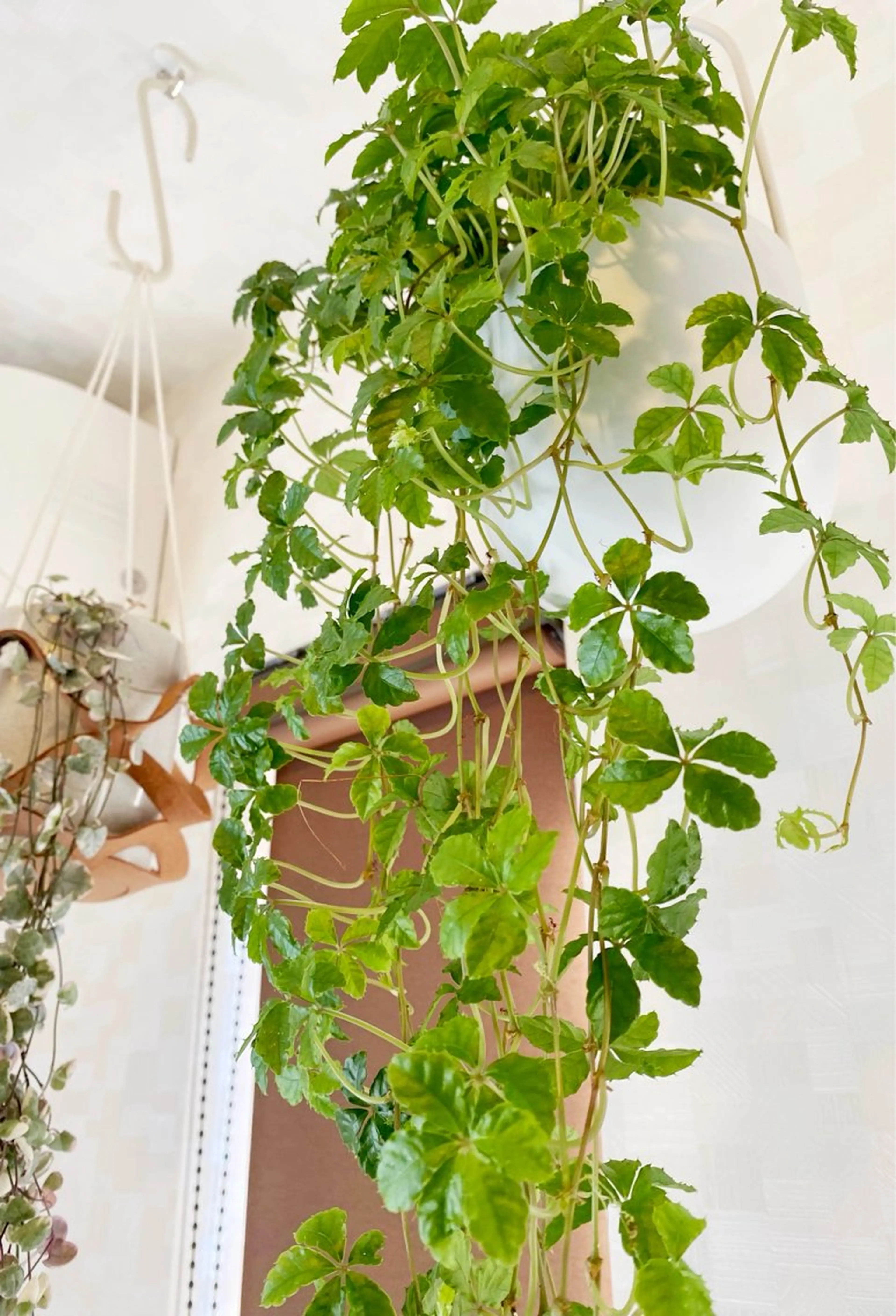 エステ リラク ダイエット・美肌ケア fleurのエステ・リラクイメージ