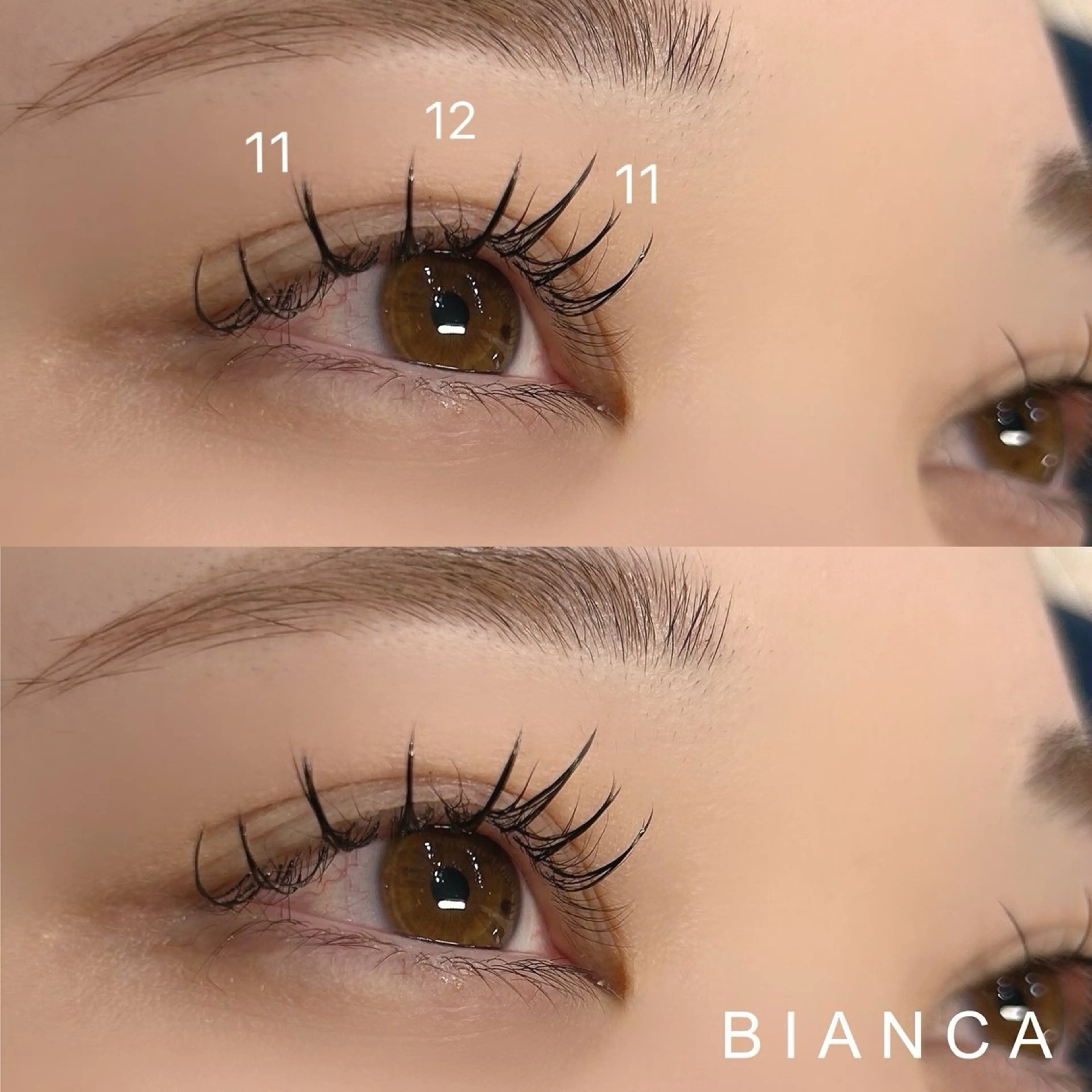 マツエク・マツパ キュート Dカール Bianca笹塚🩶 kakoのマツエク・マツパデザイン