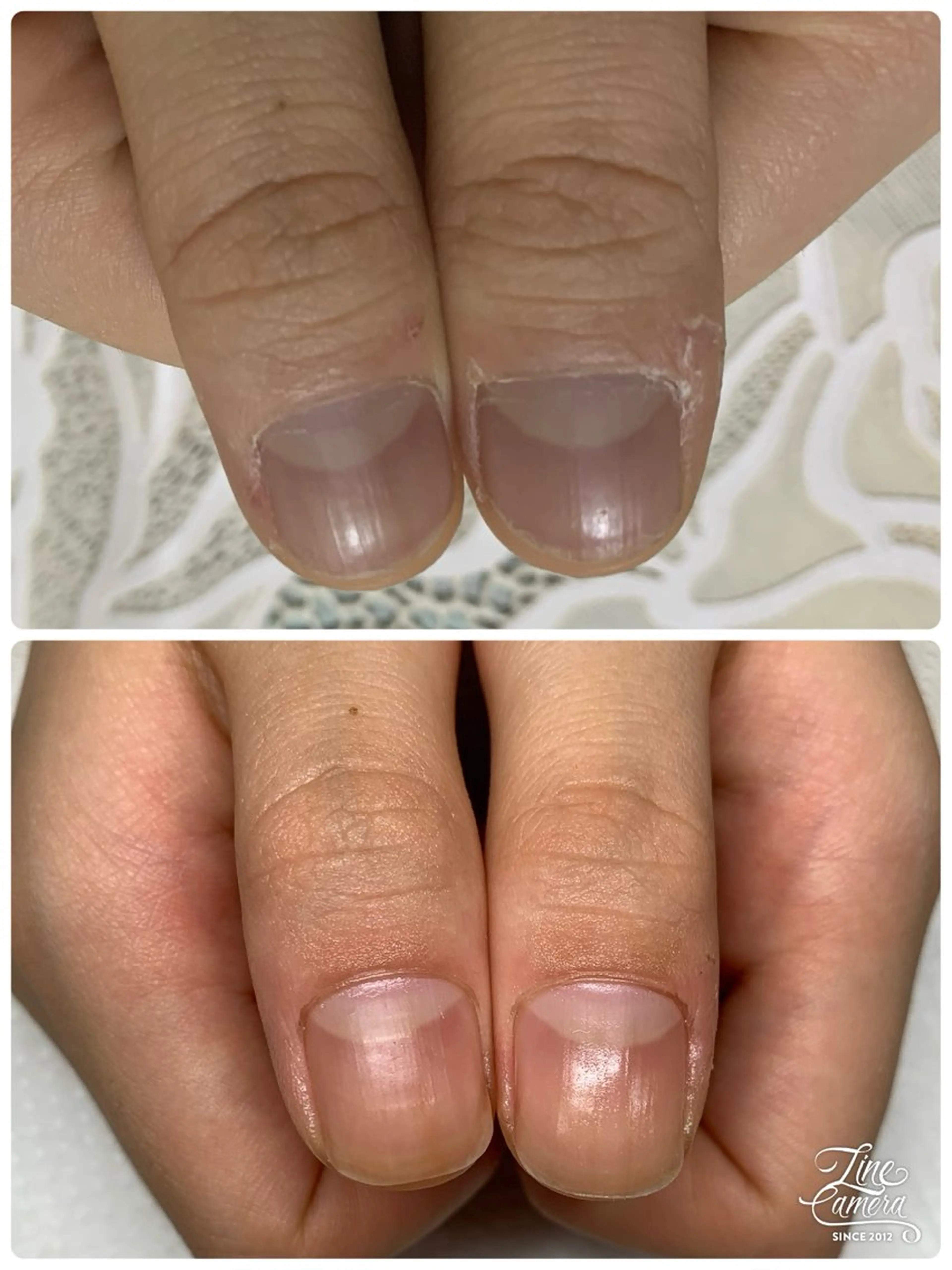 ネイル 入学式 卒業式 ハンドネイル ハンドケア Alo.nail アロ•ネイルのネイルデザイン