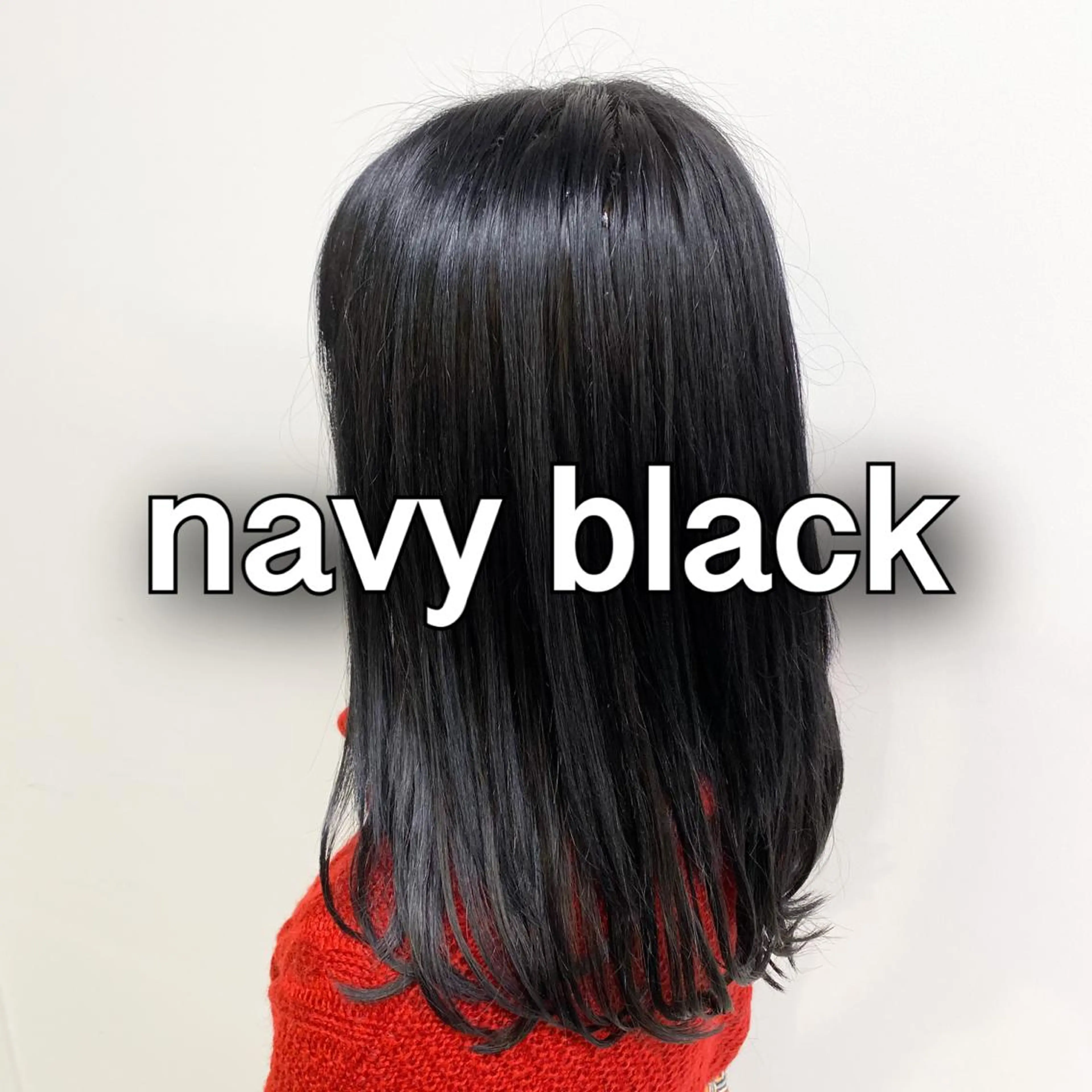 セミロング カラー ヘアアレンジ 黒髪 ネイビーカラー ARiA by ECLART所属・💖韓国ヘアの匠 💖TAKUMI💖のヘアスタイル