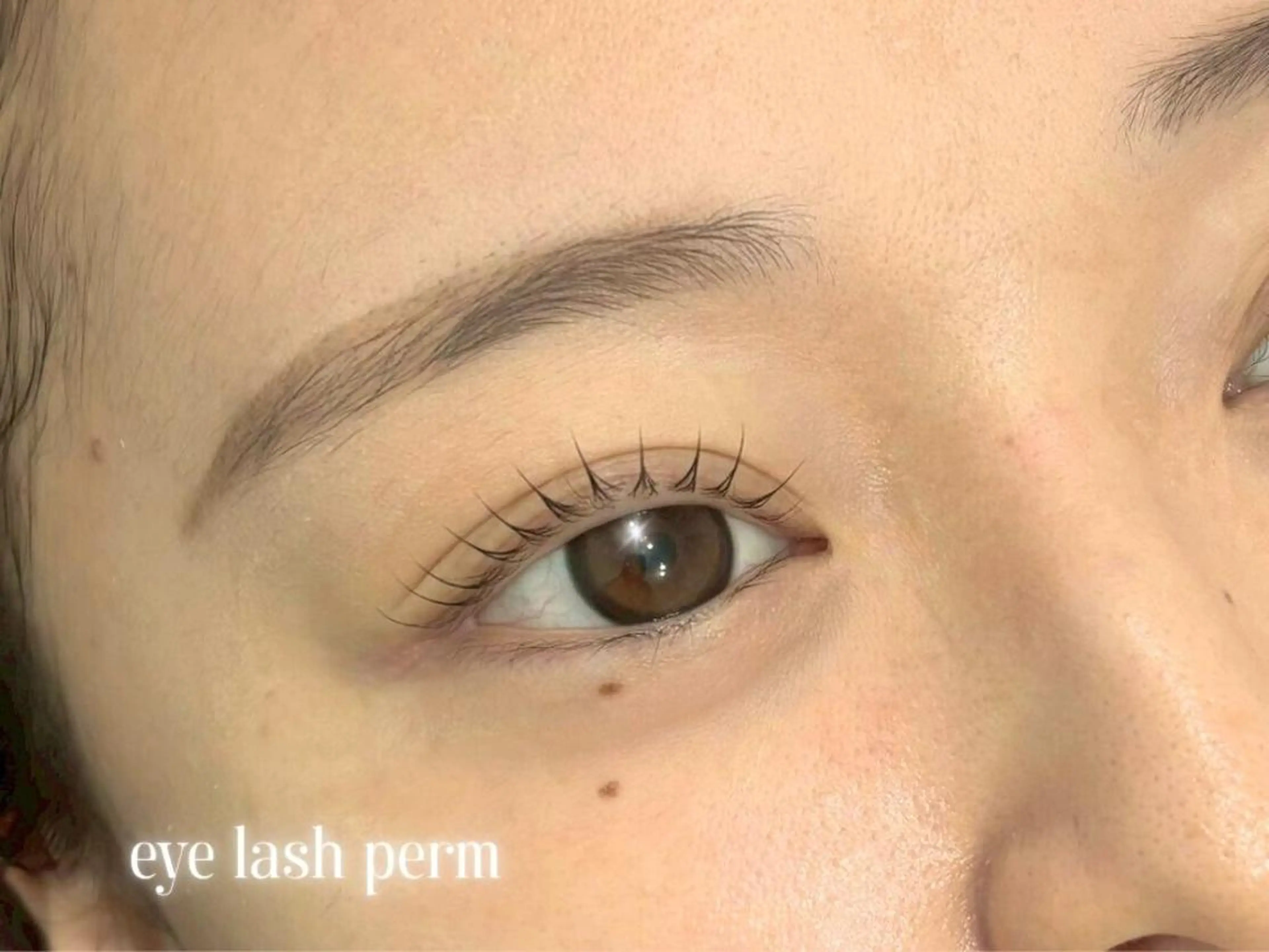 マツエク・マツパ マツパ SSIN STUDIO札幌のマツエク・マツパデザイン