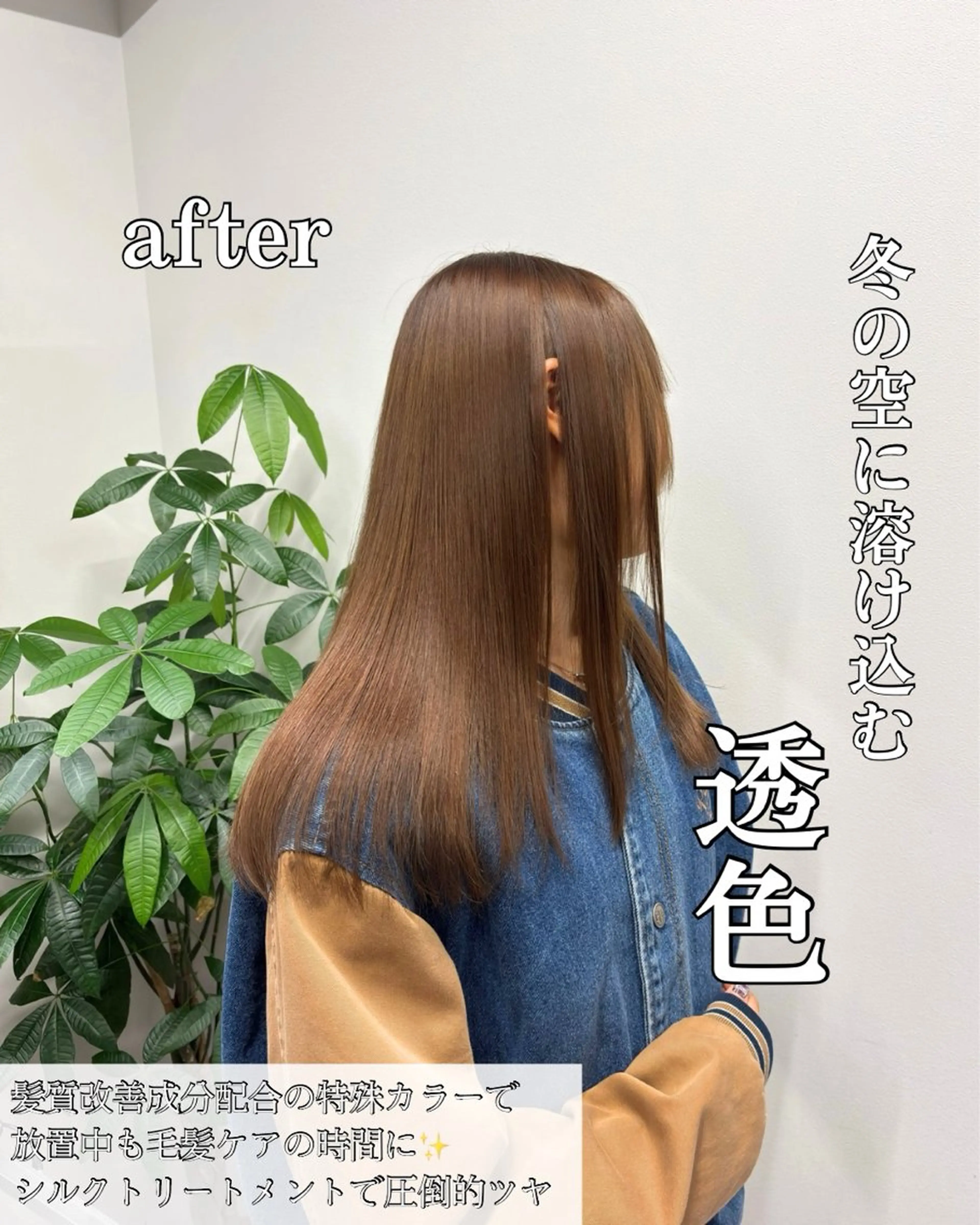 セミロング カラー 髪質改善 縮毛矯正 トリートメント 髪質改善/縮毛矯正 /美髪カラー/こてのヘアスタイル