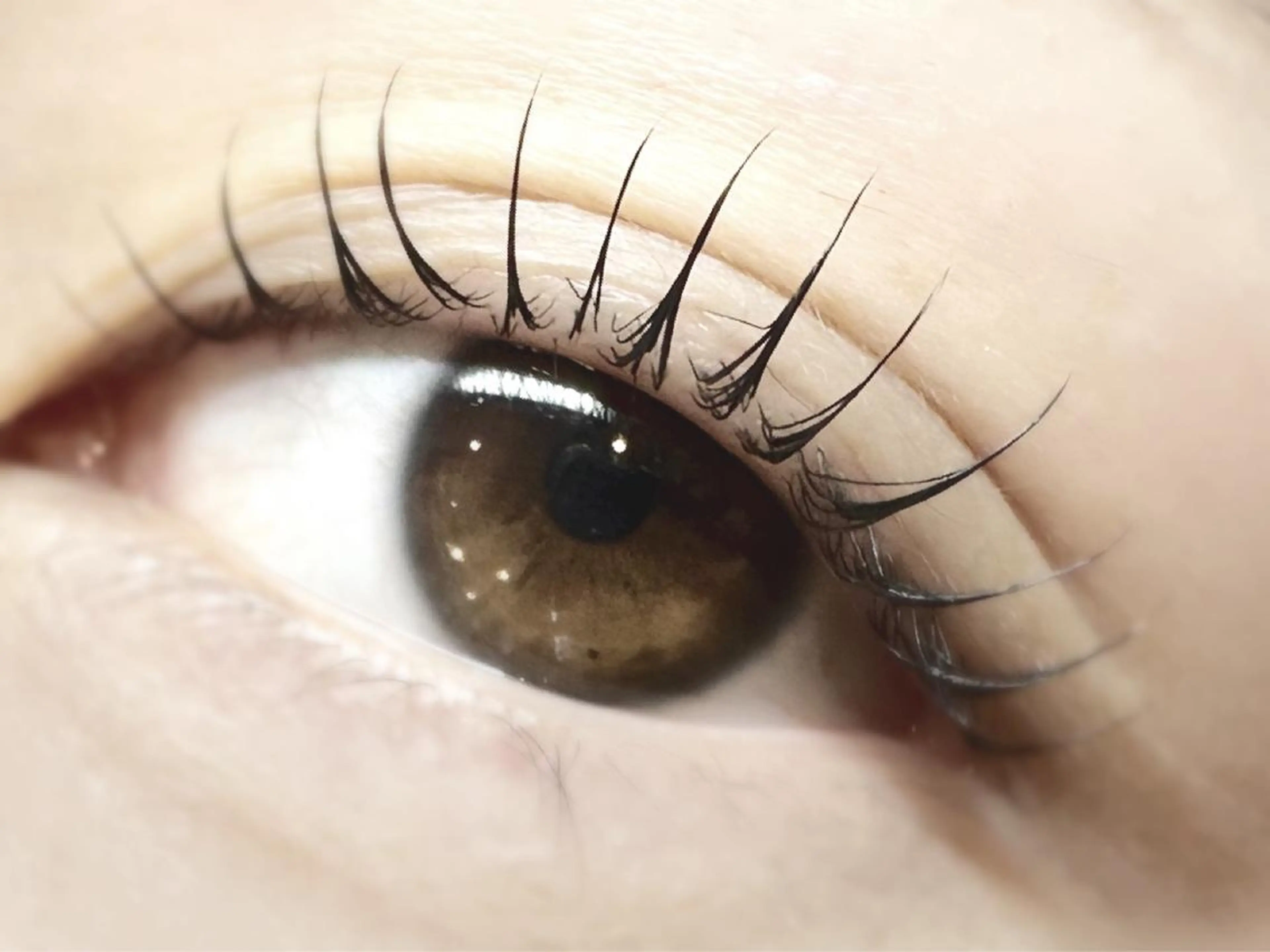 マツエク・マツパ komatsu eyelash恵比寿のマツエク・マツパデザイン