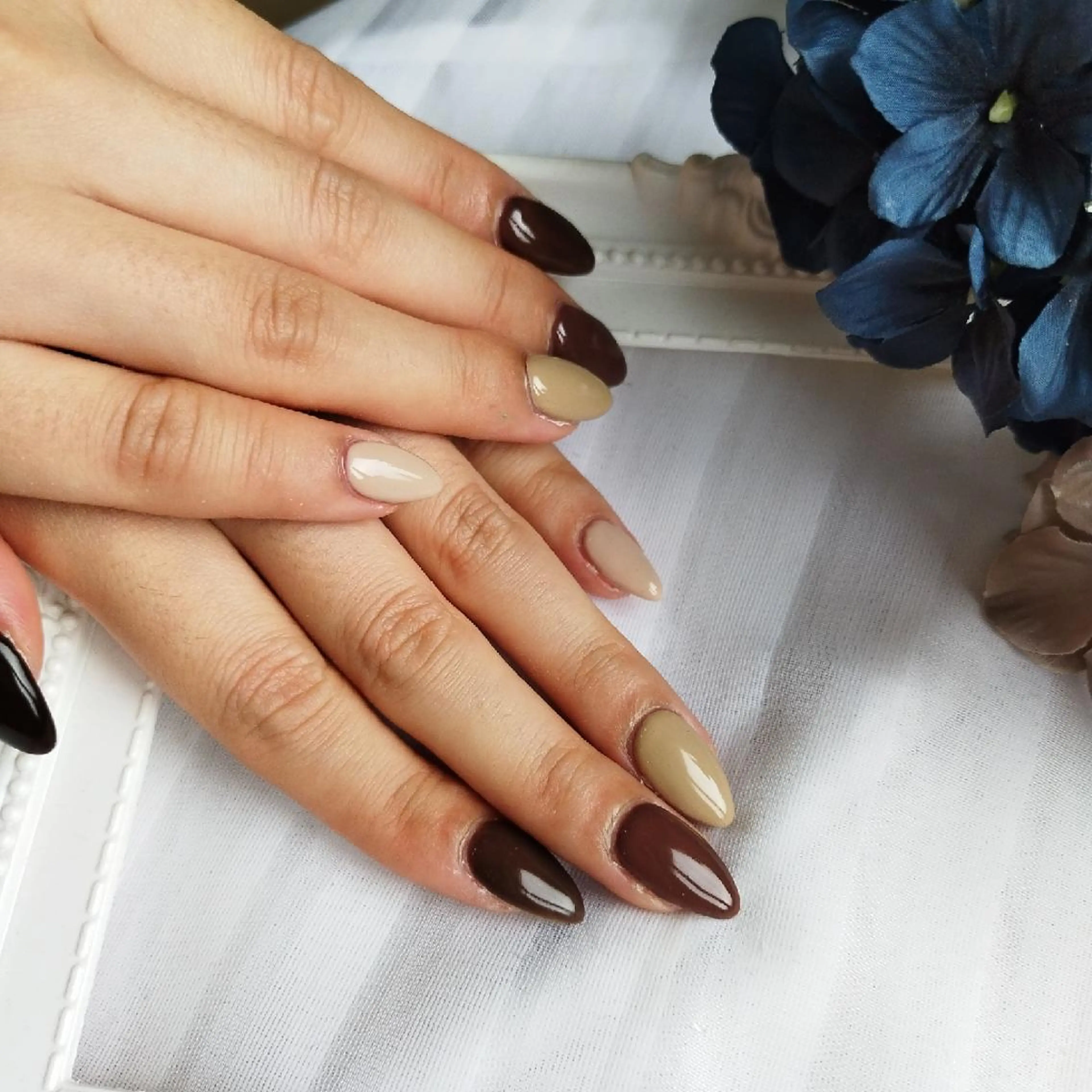 ネイル ワンカラーネイル renard所属・nailsalon Renard.kのネイルデザイン