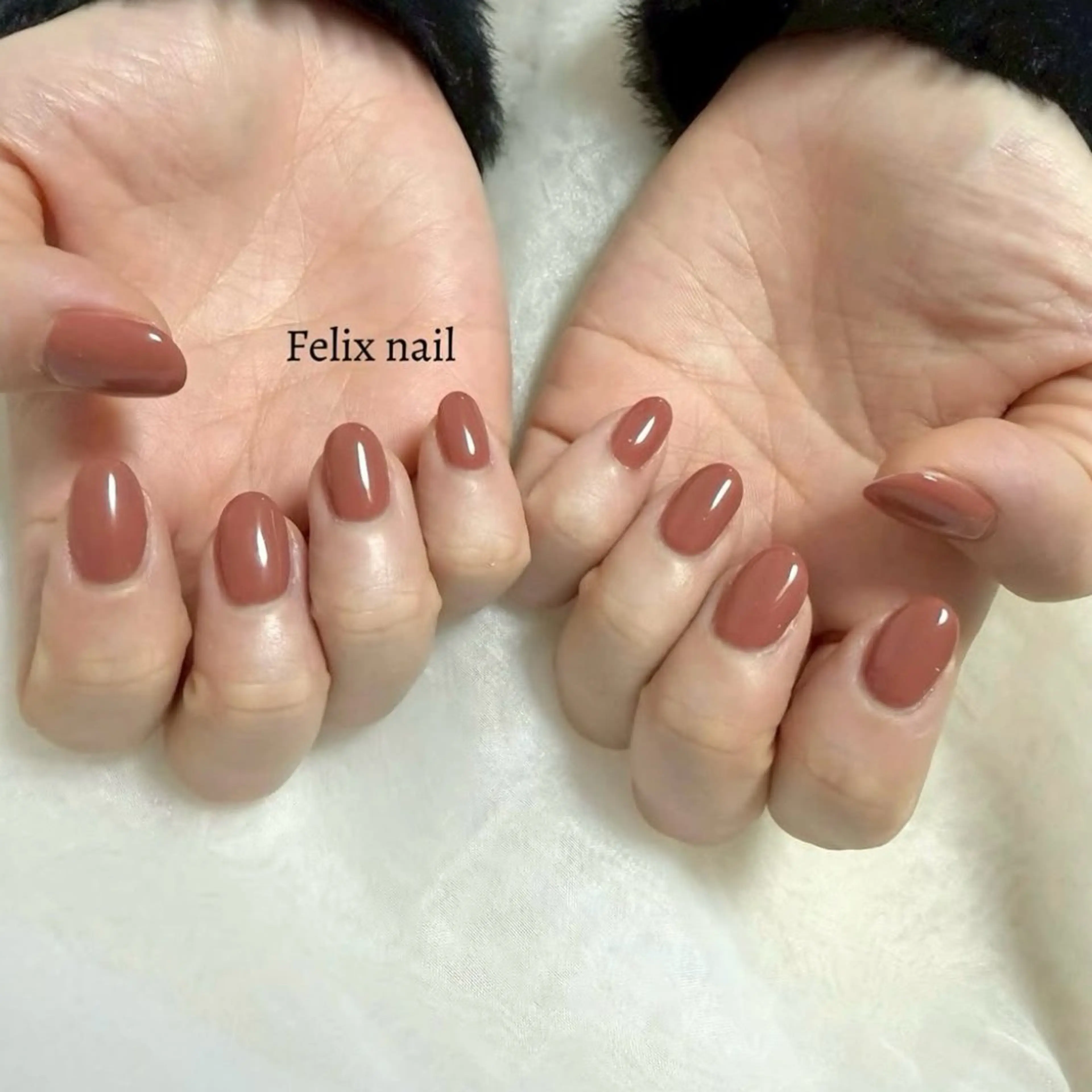 《ワンカラー》 カラー350色の写真