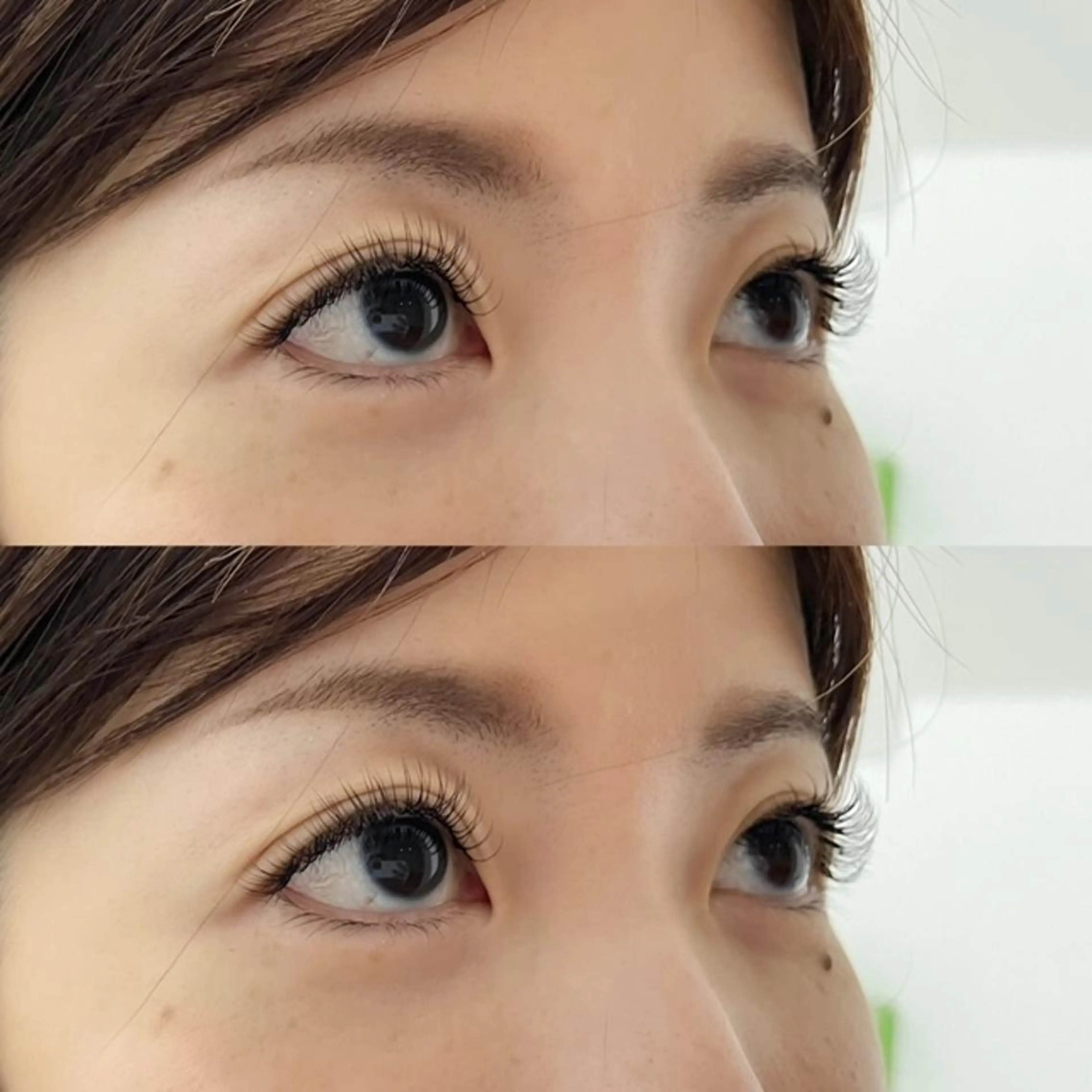 マツエク・マツパ フラットラッシュ マツエク Bunny eyes NEWOTANI博多のマツエク・マツパデザイン