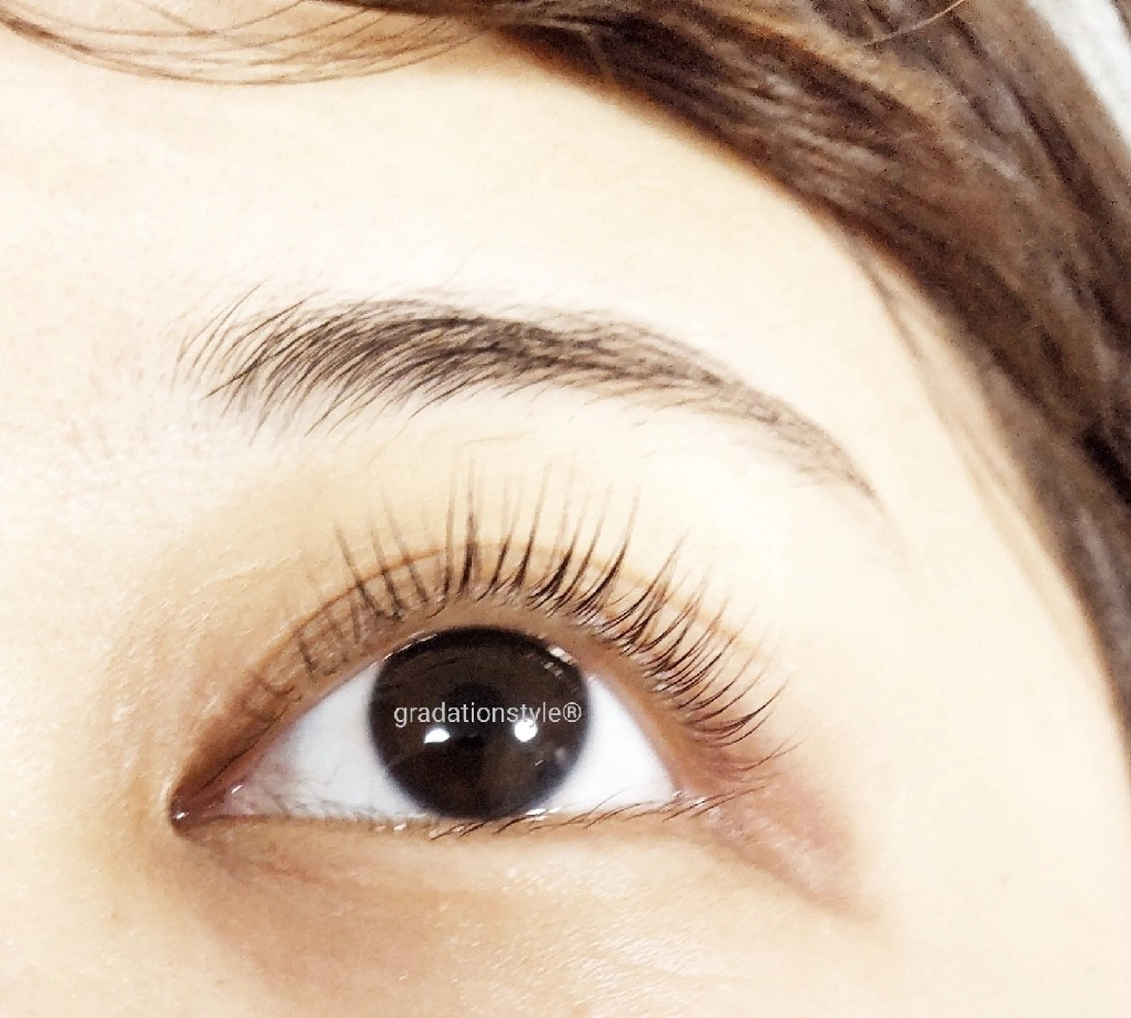 マツエク・マツパ 🎼グラデーション スタイル札幌♫*✧のマツエク・マツパデザイン