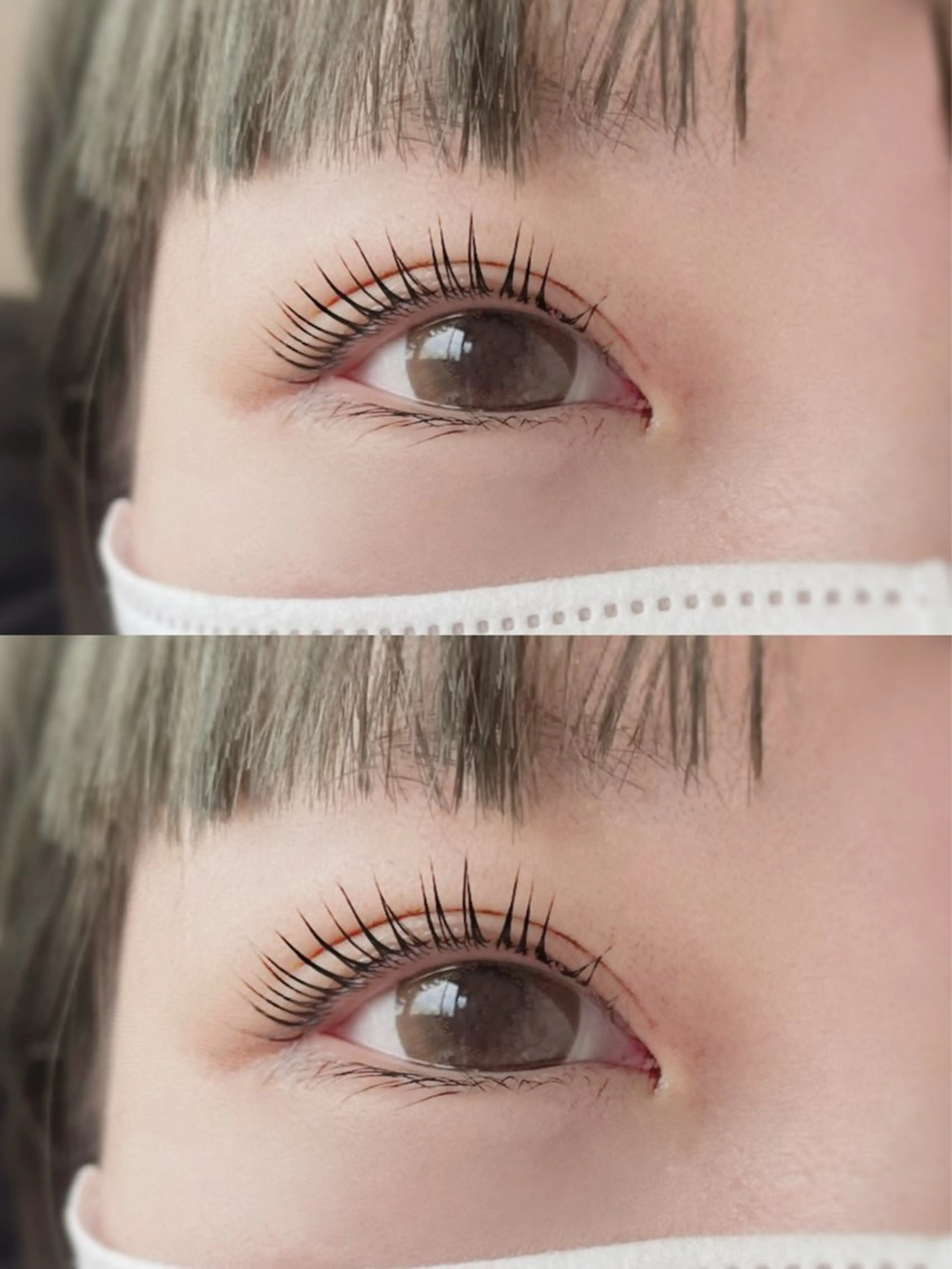 根元からぱっちり立ち上げ🖤パリジェンヌラッシュリフト練習モデル✨️ 上のみの写真