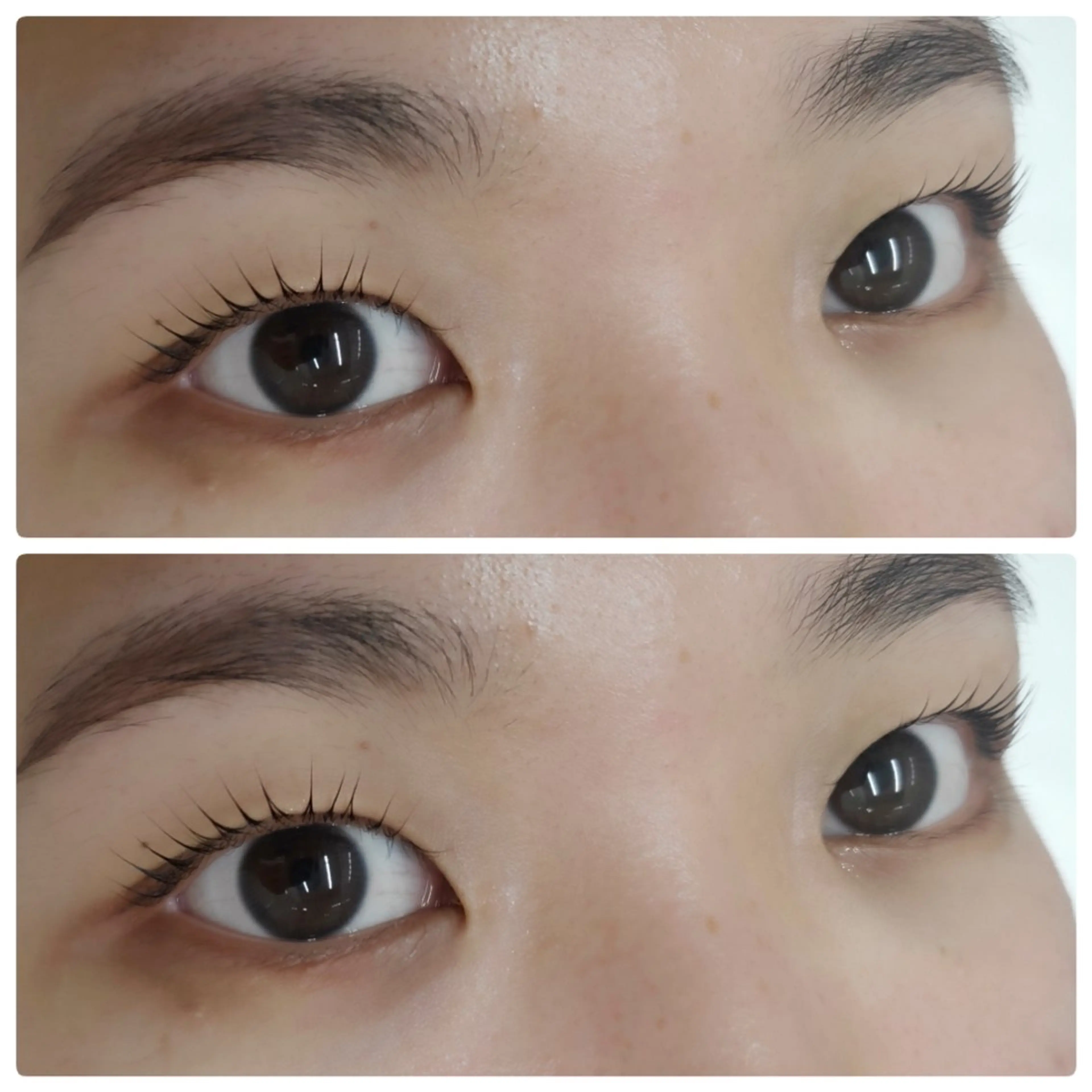 マツエク・マツパ 一重×まつ毛パーマ CHERIE blanc.西中島店所属・CHERIE. blanc徒歩3分のマツエク・マツパデザイン