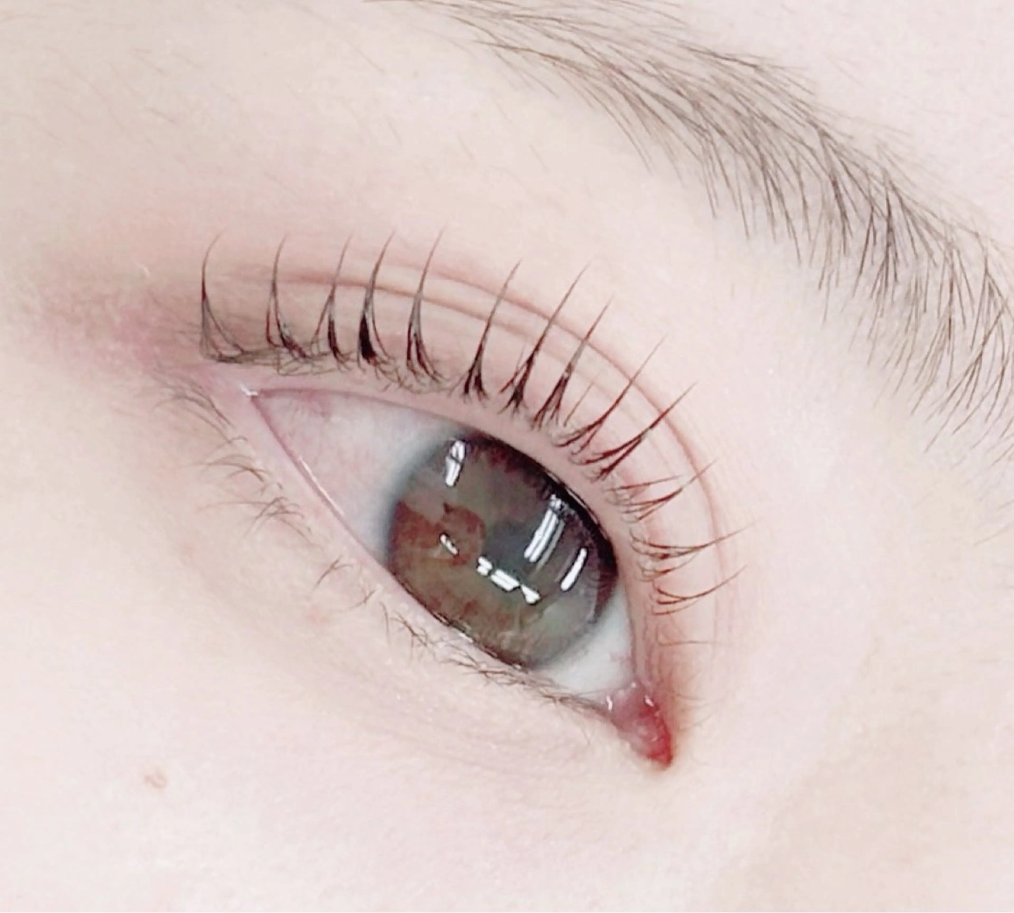 マツエク・マツパ manie Nail&Eyelash所属・小林 桃花のマツエク・マツパデザイン