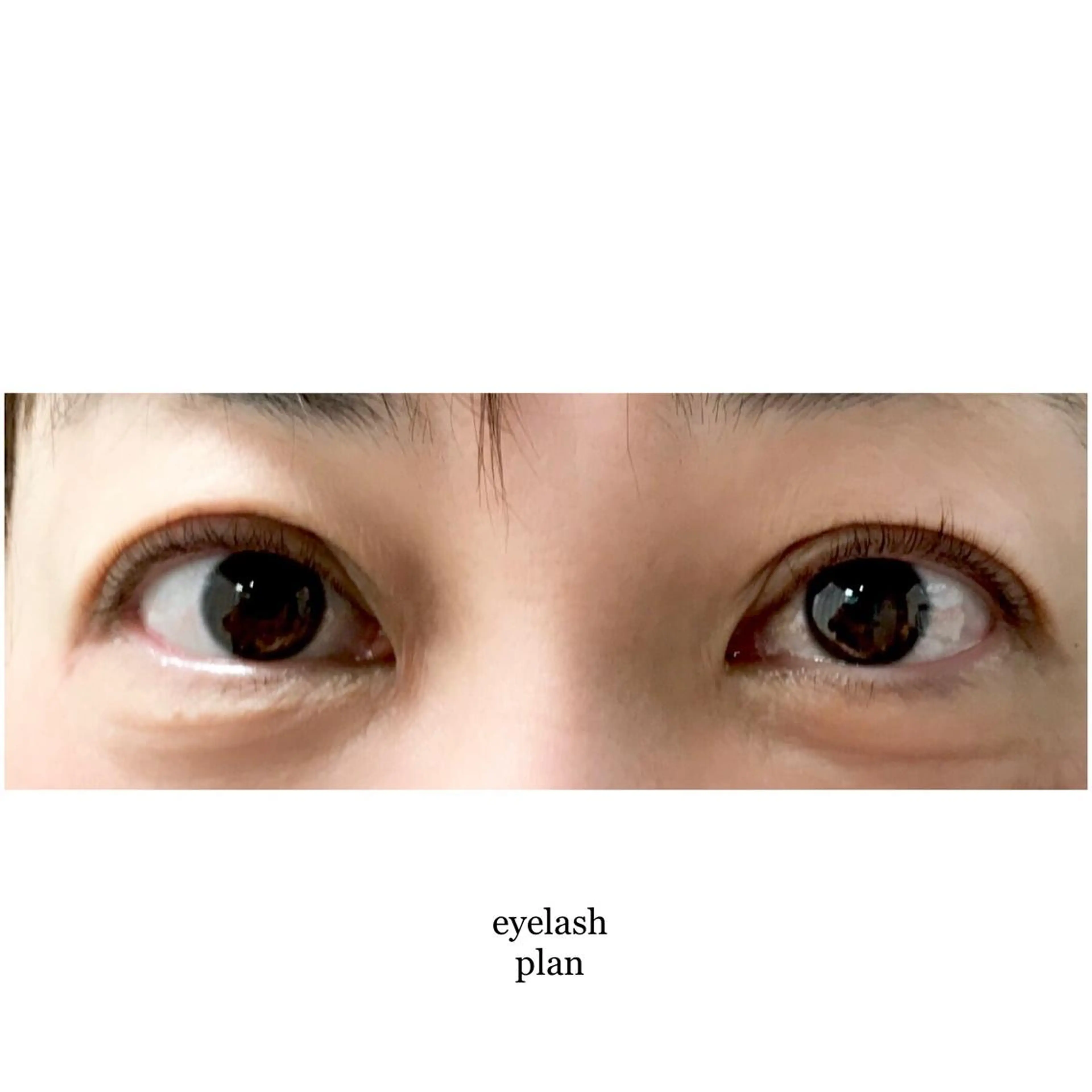 マツエク・マツパ マツパ 《eyelash ｉｉｔｅ》森のマツエク・マツパデザイン