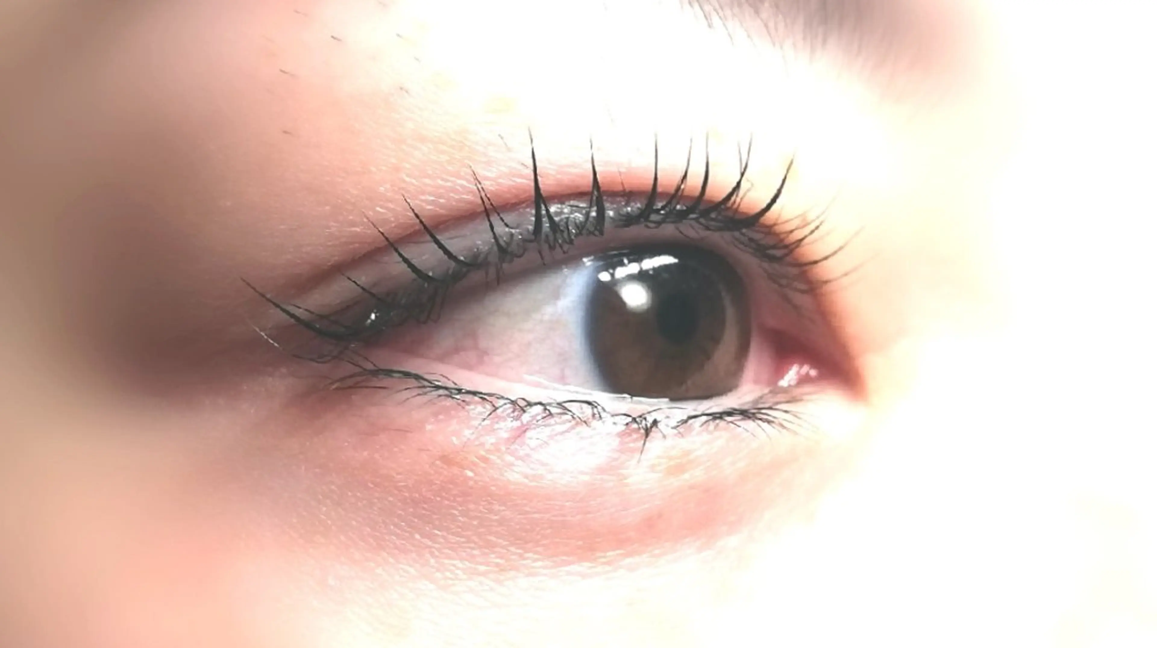 マツエク・マツパ Cカール angelux 所属・💎angelux 💎まつげパーマのマツエク・マツパデザイン