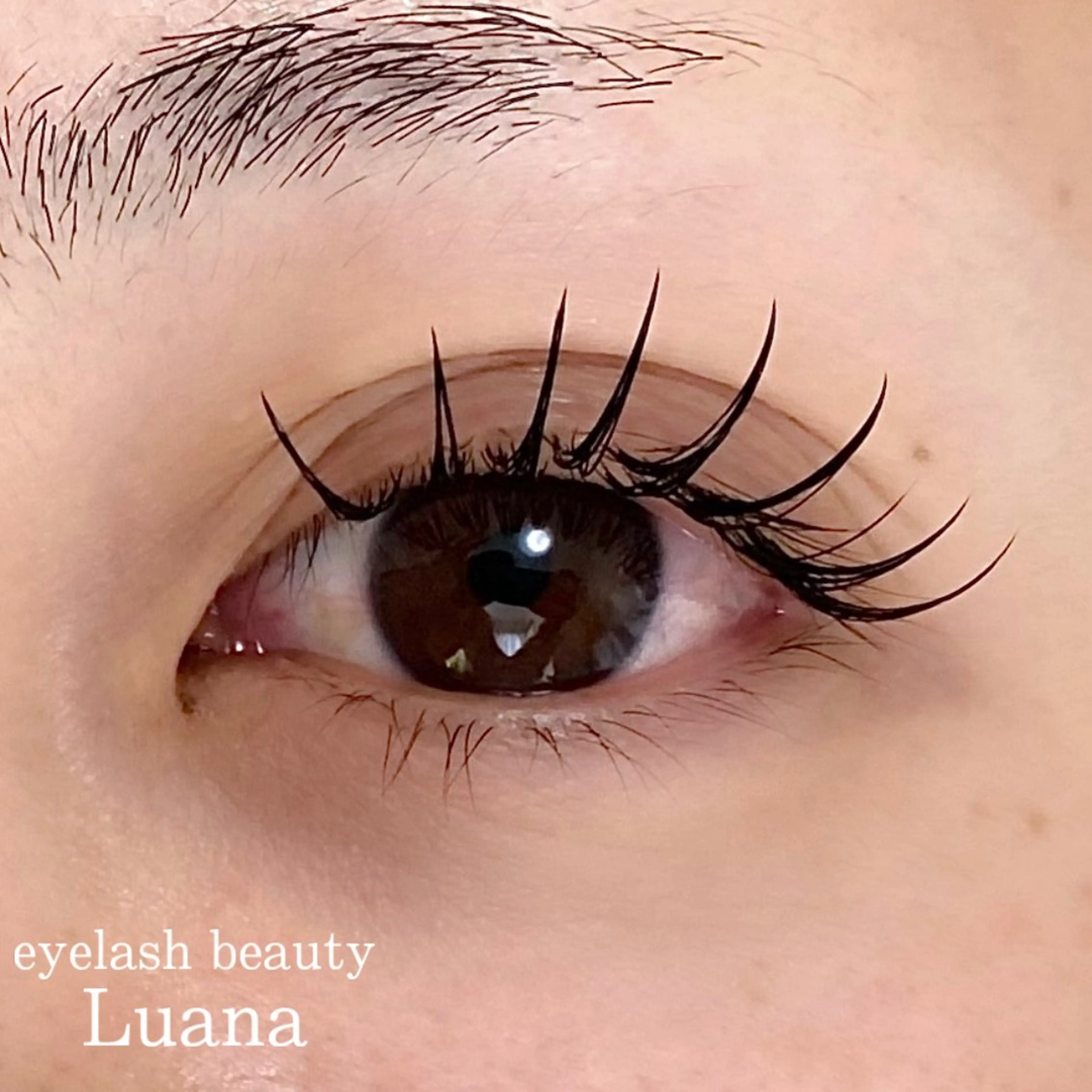 マツエク・マツパ 束感まつ毛 フラットラッシュ eyelash beauty Luana所属・🌺Luana🐬 yukariのマツエク・マツパデザイン