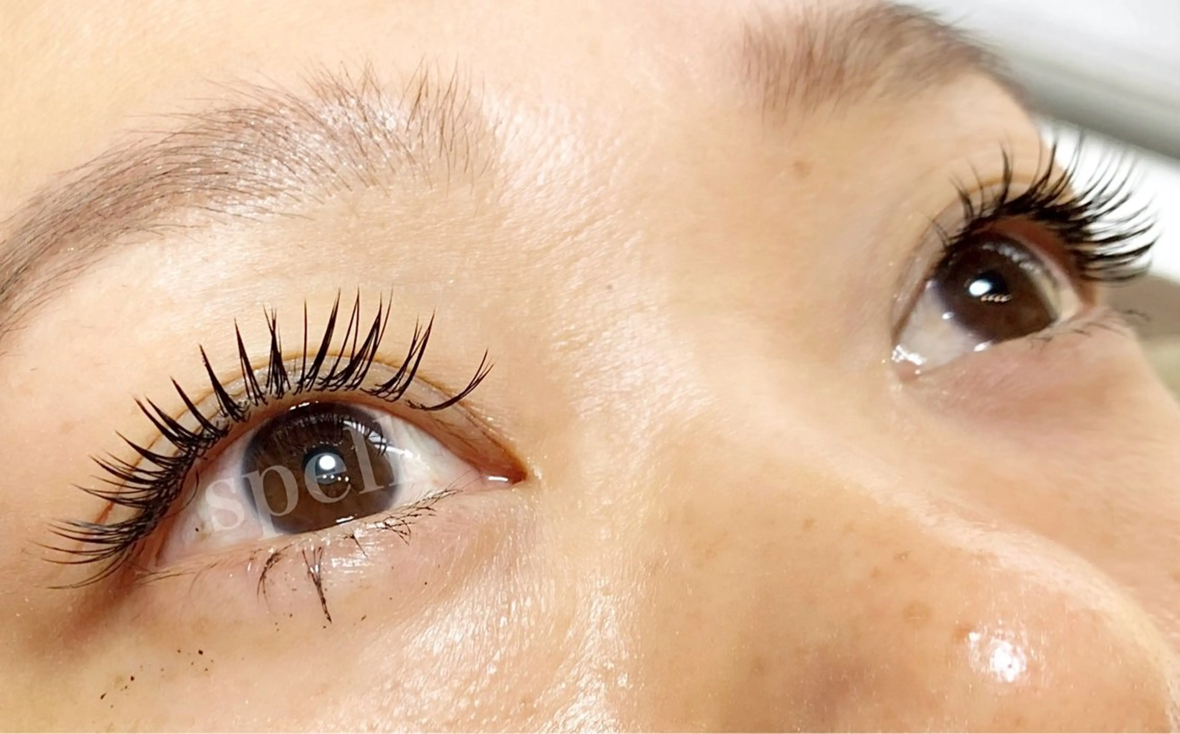 マツエク・マツパ マツエク spell_eyelash所属・spell eyelashのマツエク・マツパデザイン