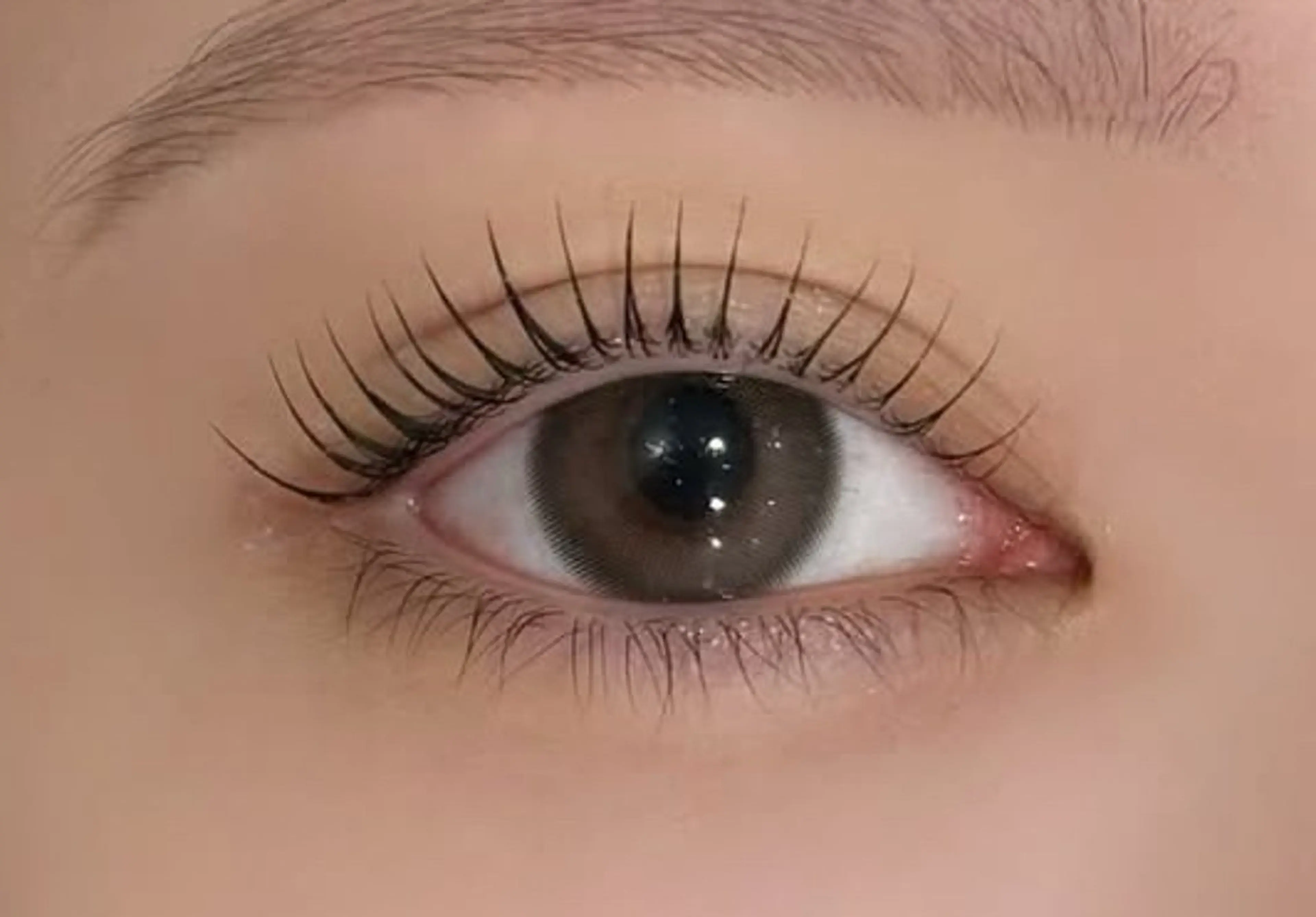 話題のメーテルラッシュリフト【上】+美容液の写真