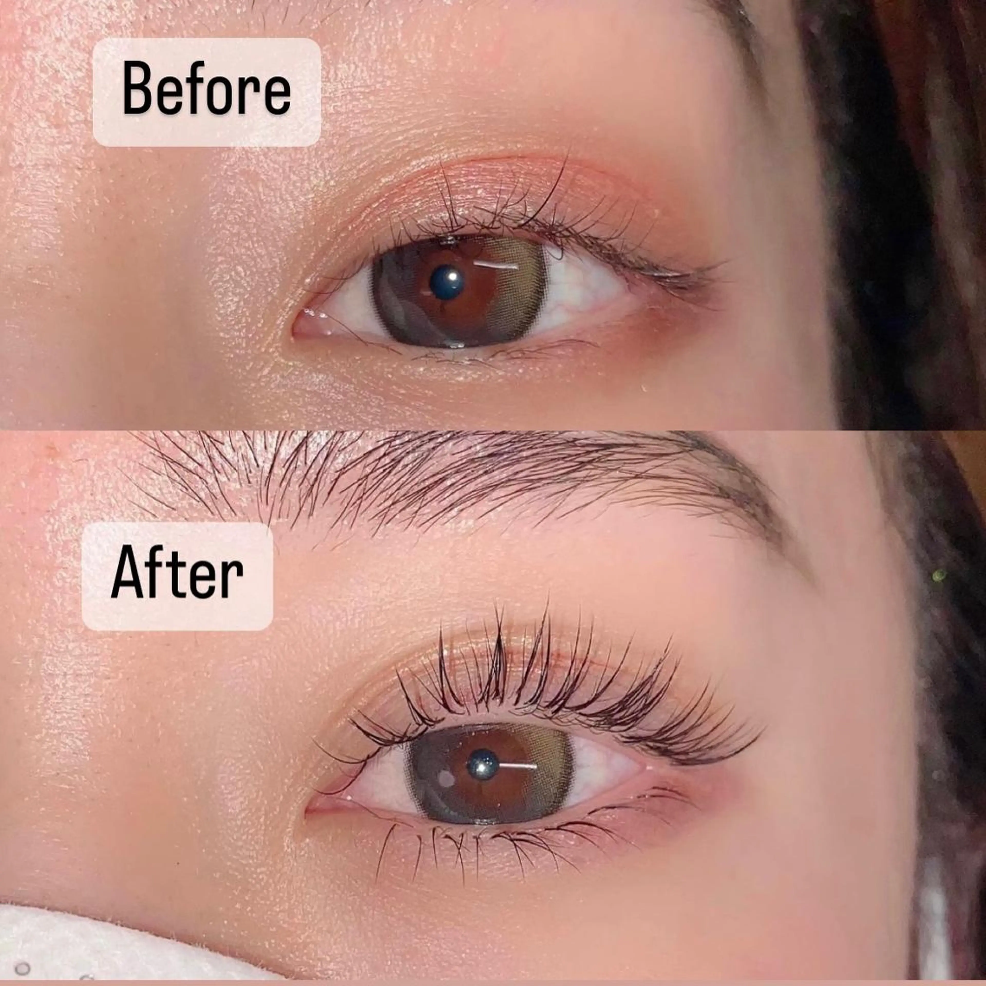 マツエク・マツパ Jカール セーブル 下まつげエクステ eyelash clear池袋のマツエク・マツパデザイン