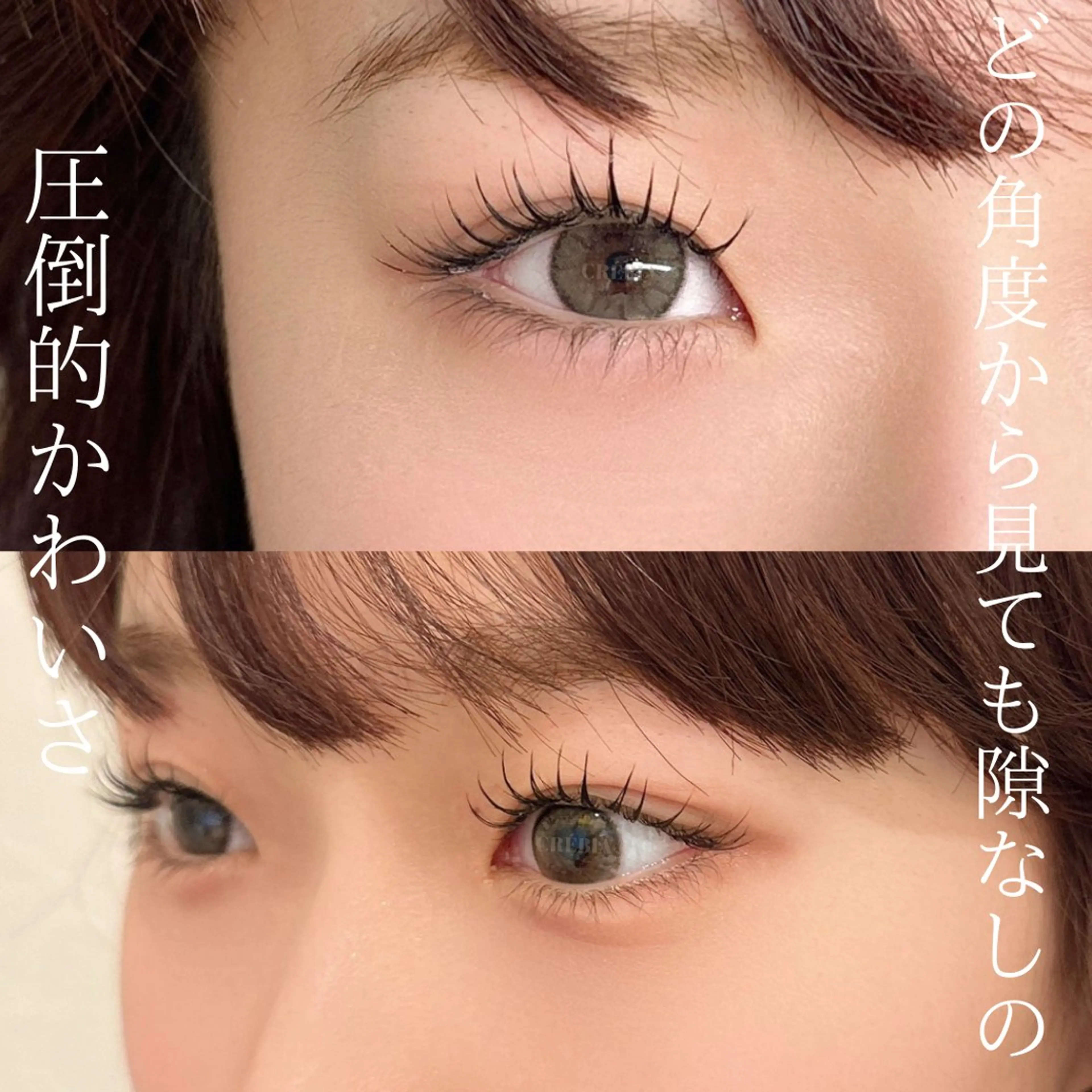 マツエク・マツパ 🎀mai🎀 パリジェンヌ/眉毛のマツエク・マツパデザイン