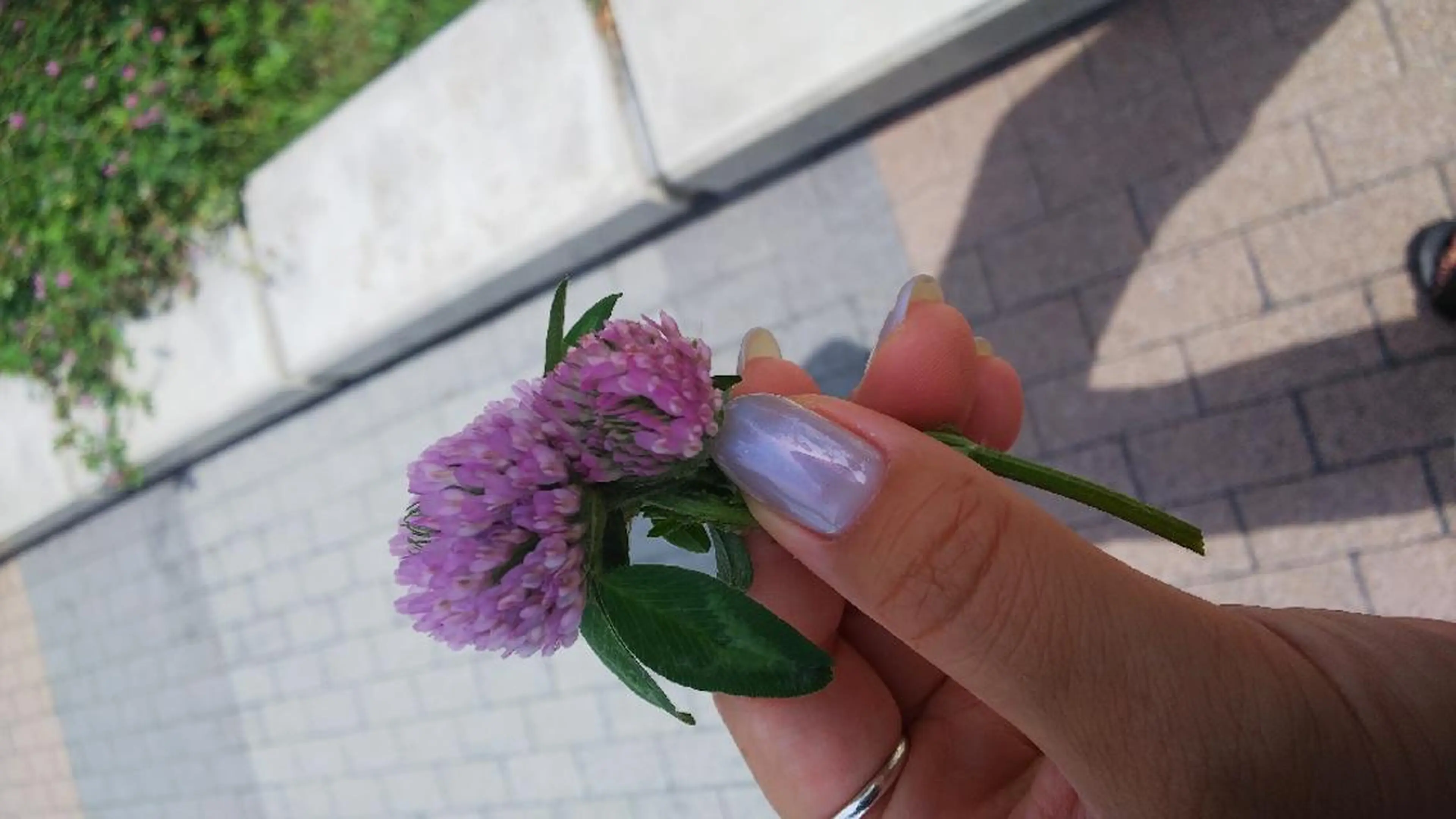 ネイル jurinailtokyo所属・jurinail tokyoのネイルデザイン