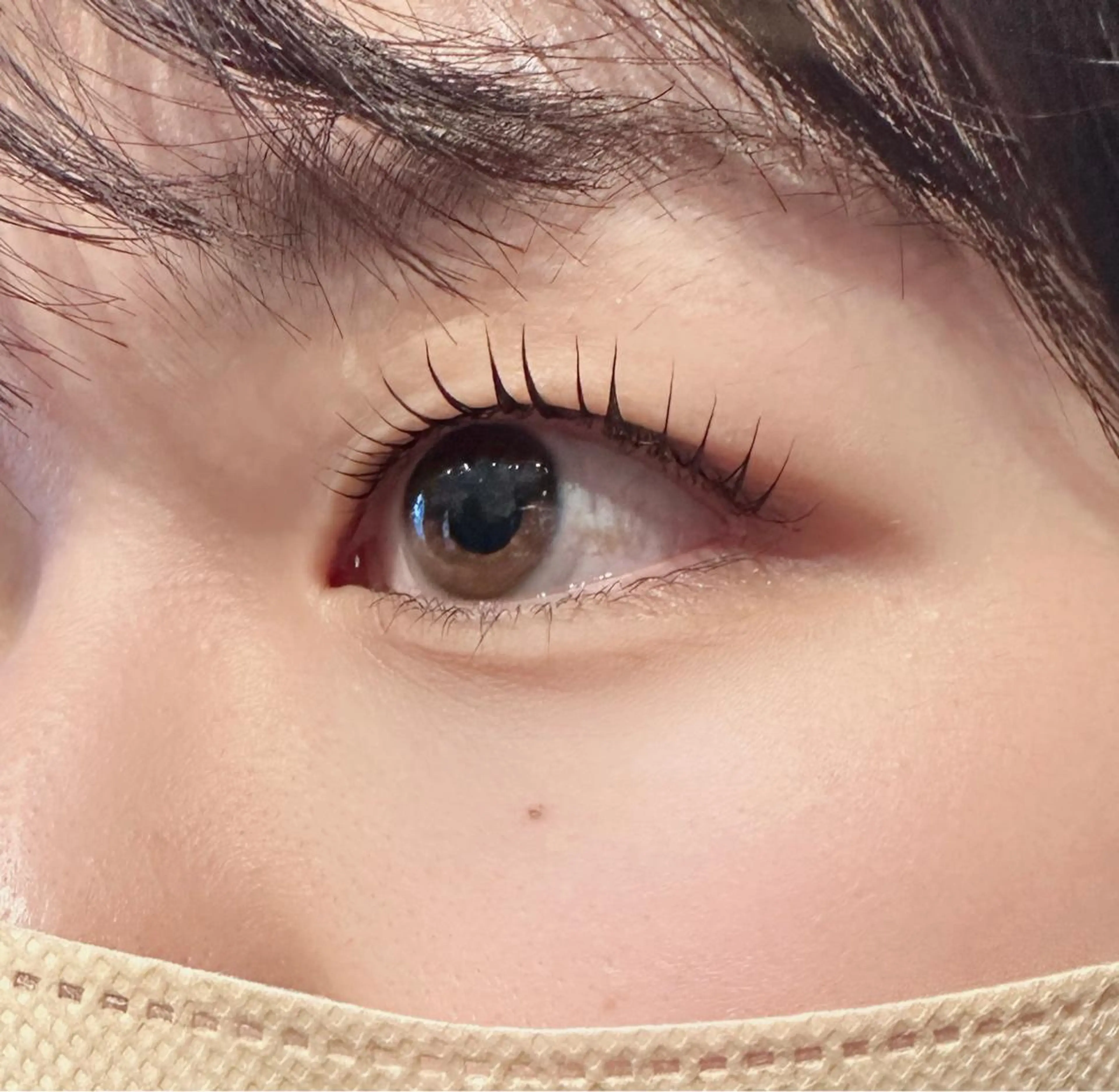 マツエク・マツパ dearbeauty plusのマツエク・マツパデザイン