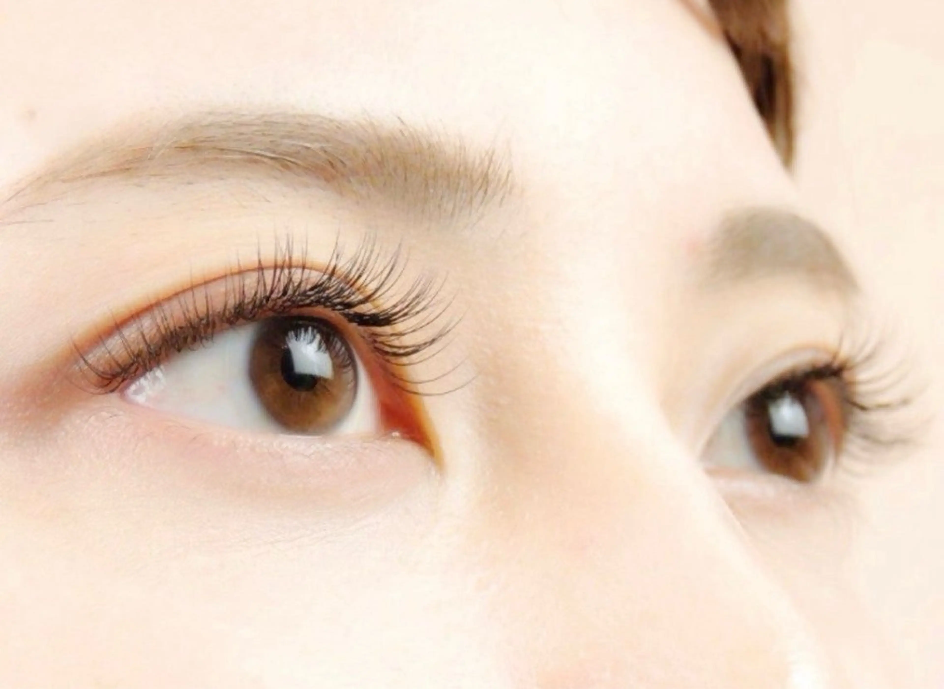 【限定🌟練習モデル募集】《オフあり》フラットラッシュ80本 ミニモ限定クーポン ￥2000🎀の写真