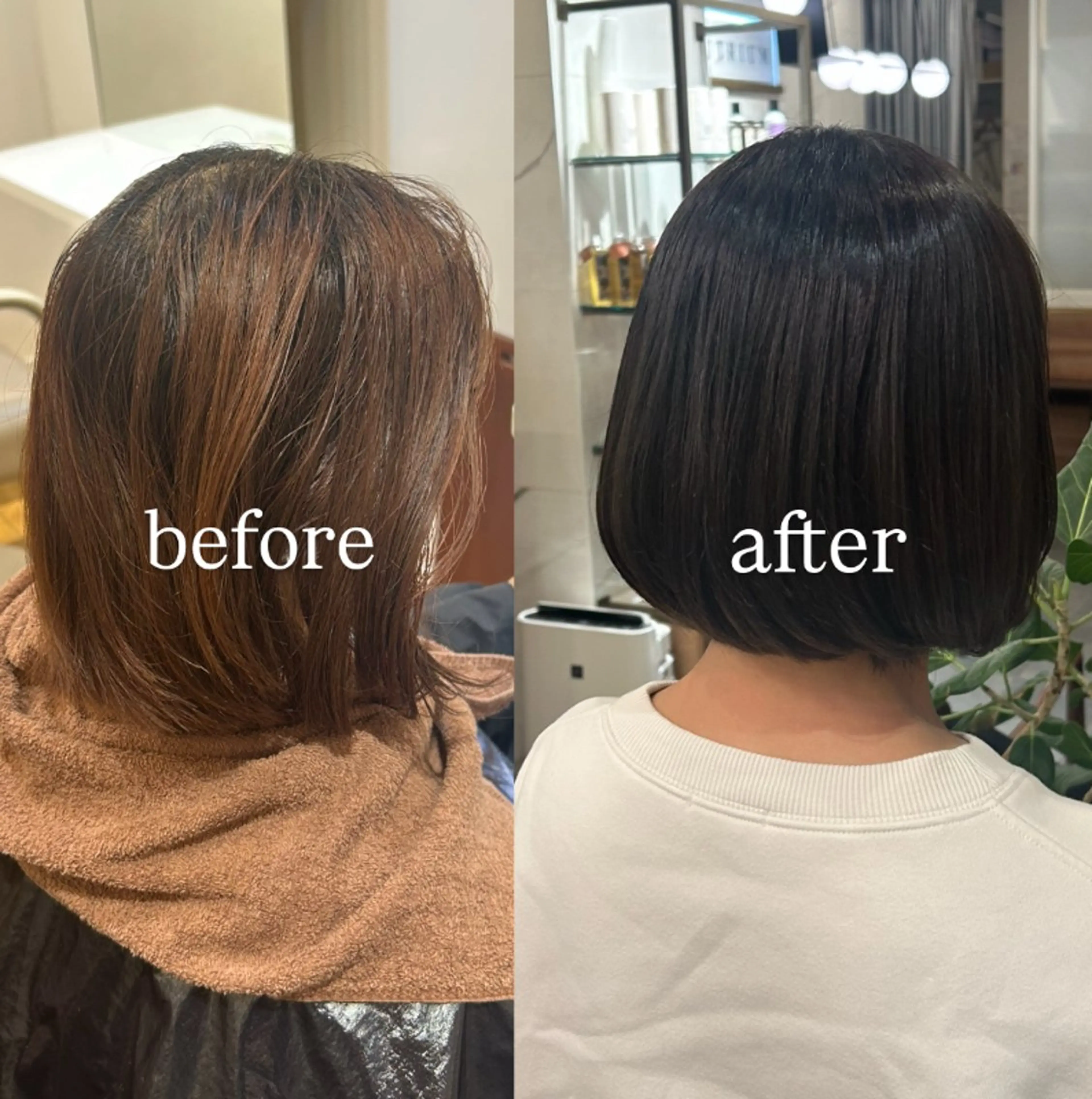 カラー ヘアカラー 根本 琴子のヘアスタイル