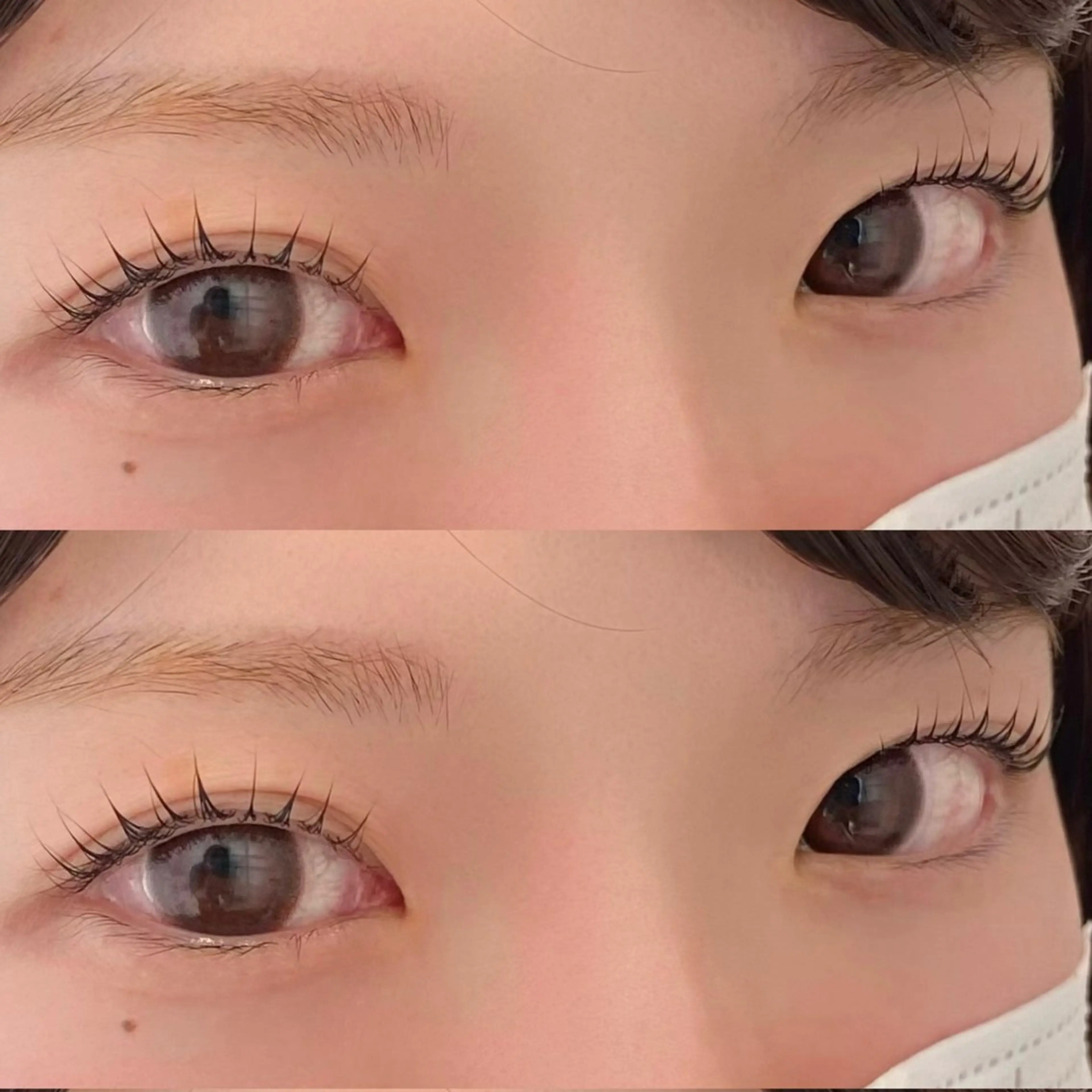 【オープン記念学割👩‍🎓】まつ毛パーマ＋トリートメントコーティングの写真