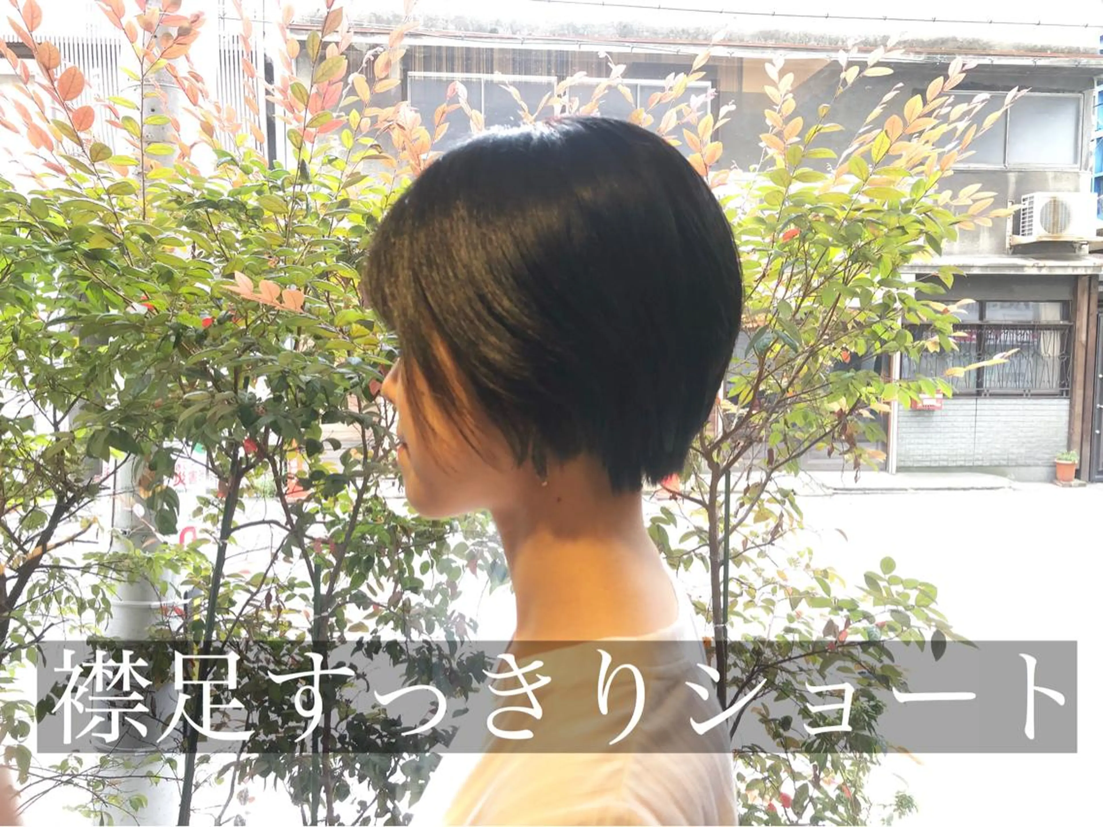 ショート ショートボブ ボブ ショートヘア bleach所属・池田 寿子のヘアスタイル