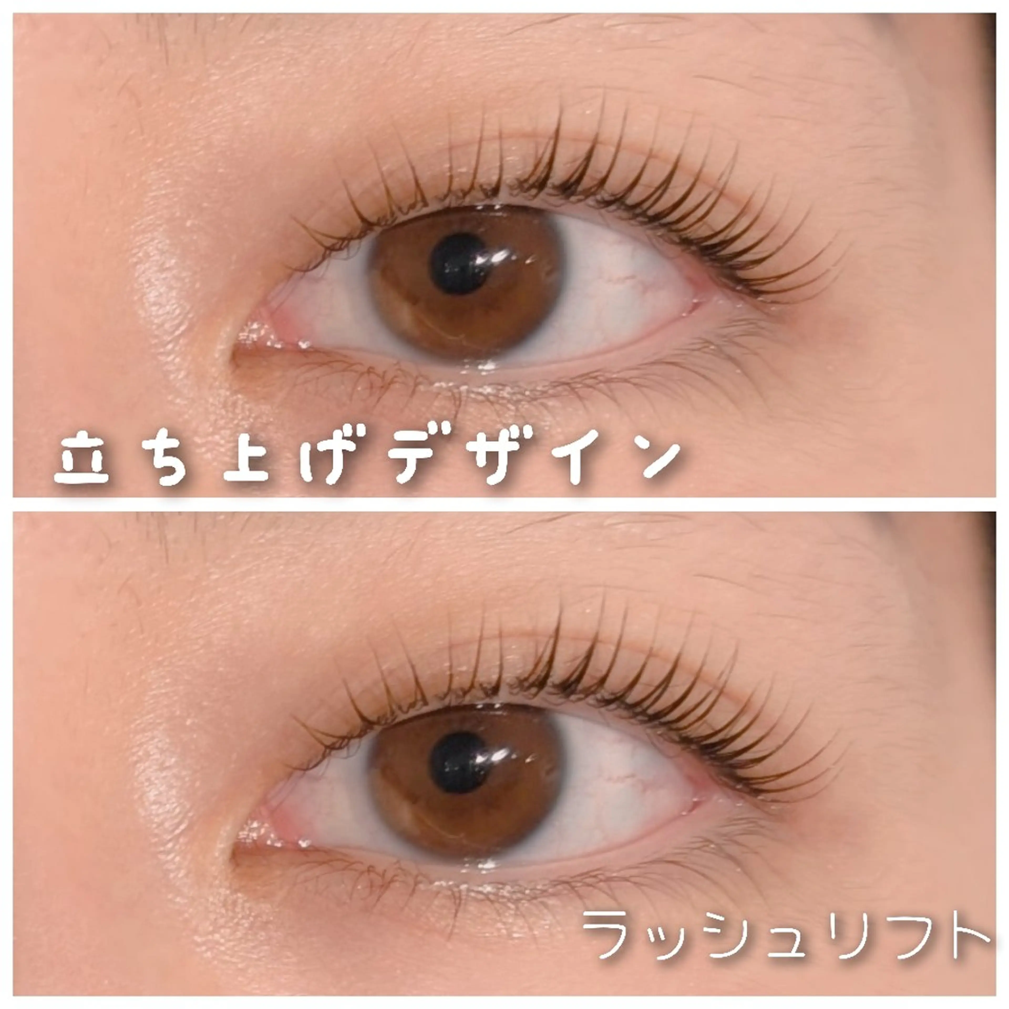 似合せまつ毛パーマ🌼✨コーティング仕上げの写真