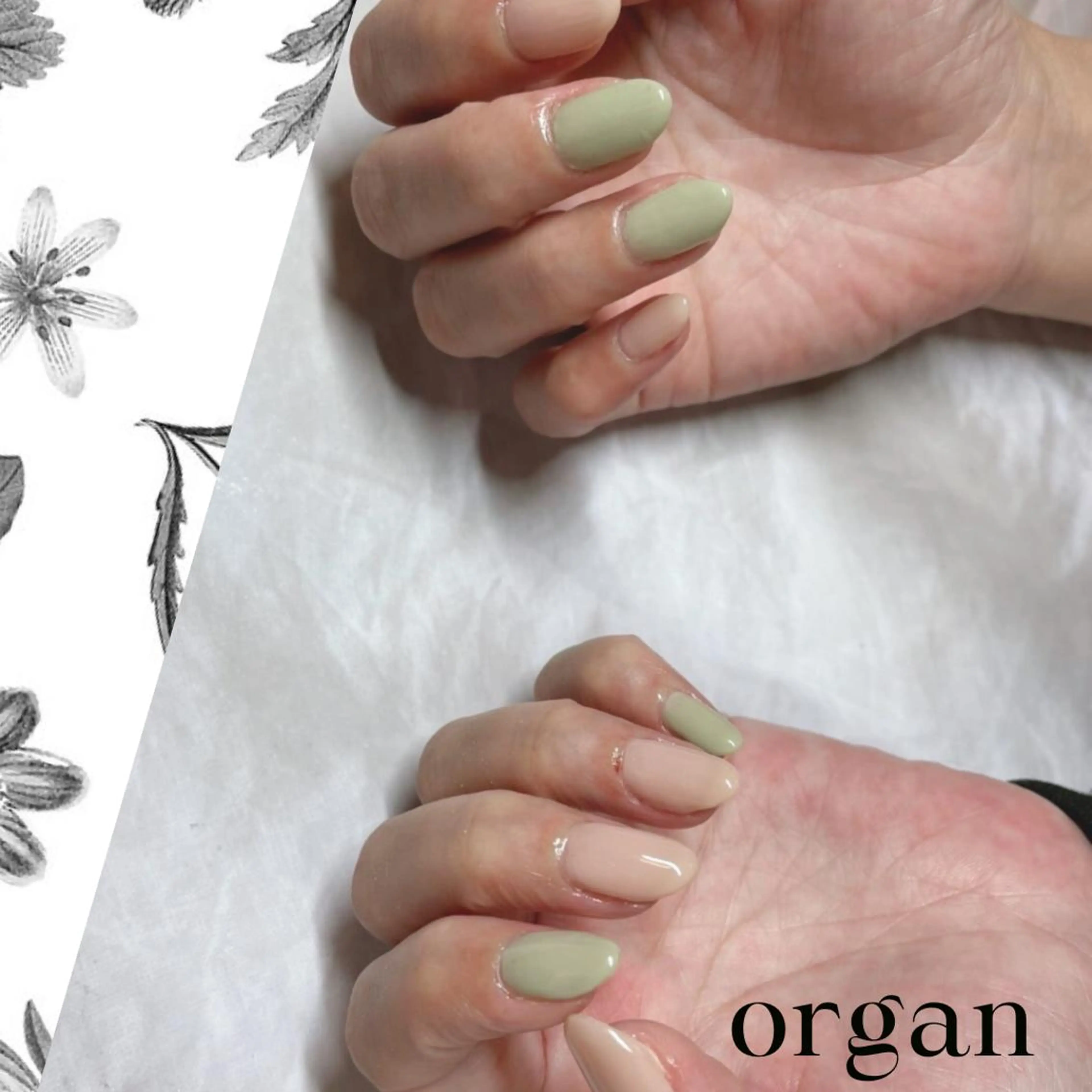 ネイル パステルネイル 【ＯＲＧＡＮ】 nailのネイルデザイン