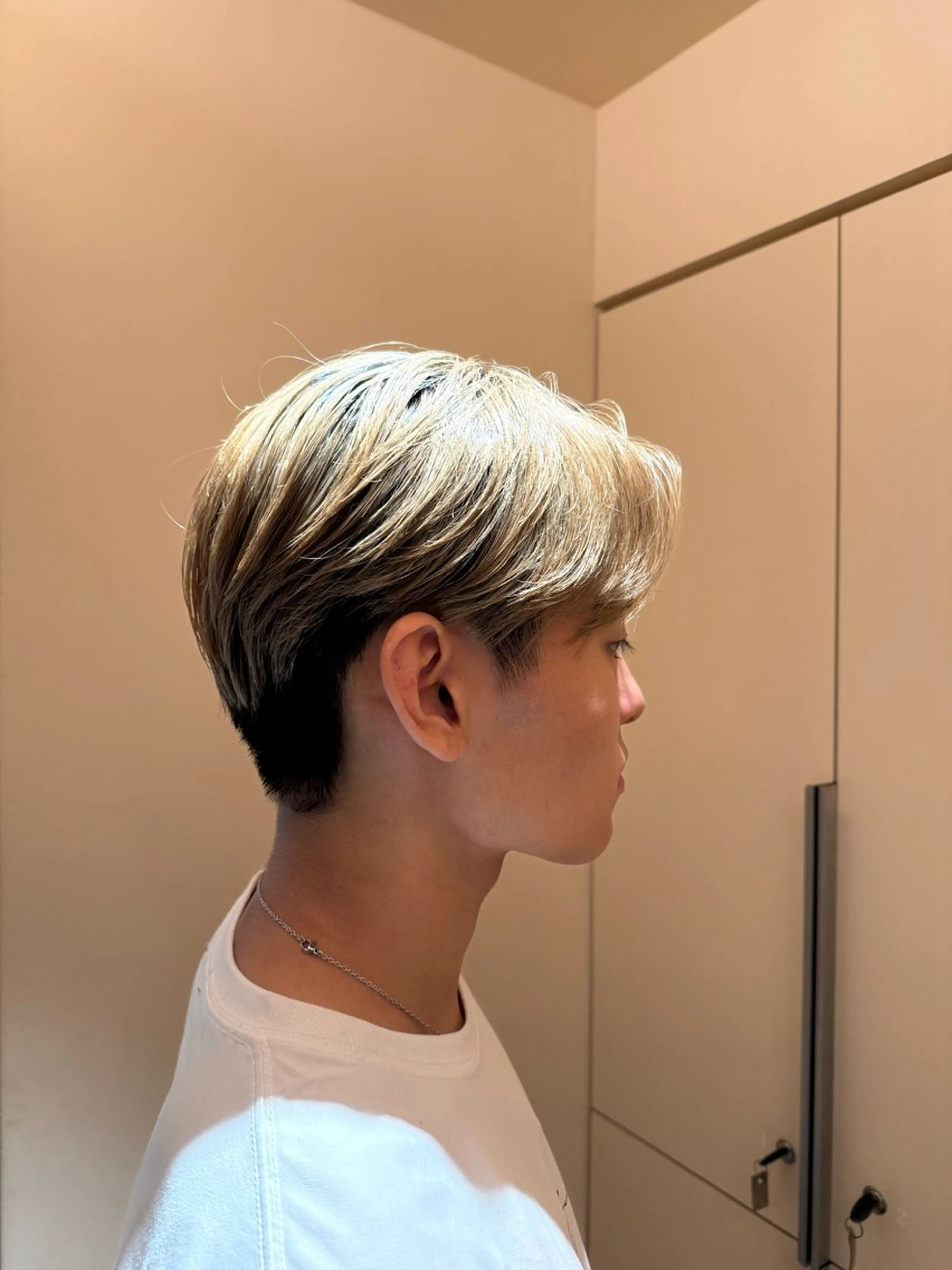 ショート メンズ カット 艶カラー/縮毛矯正 🫧terukaのヘアスタイル