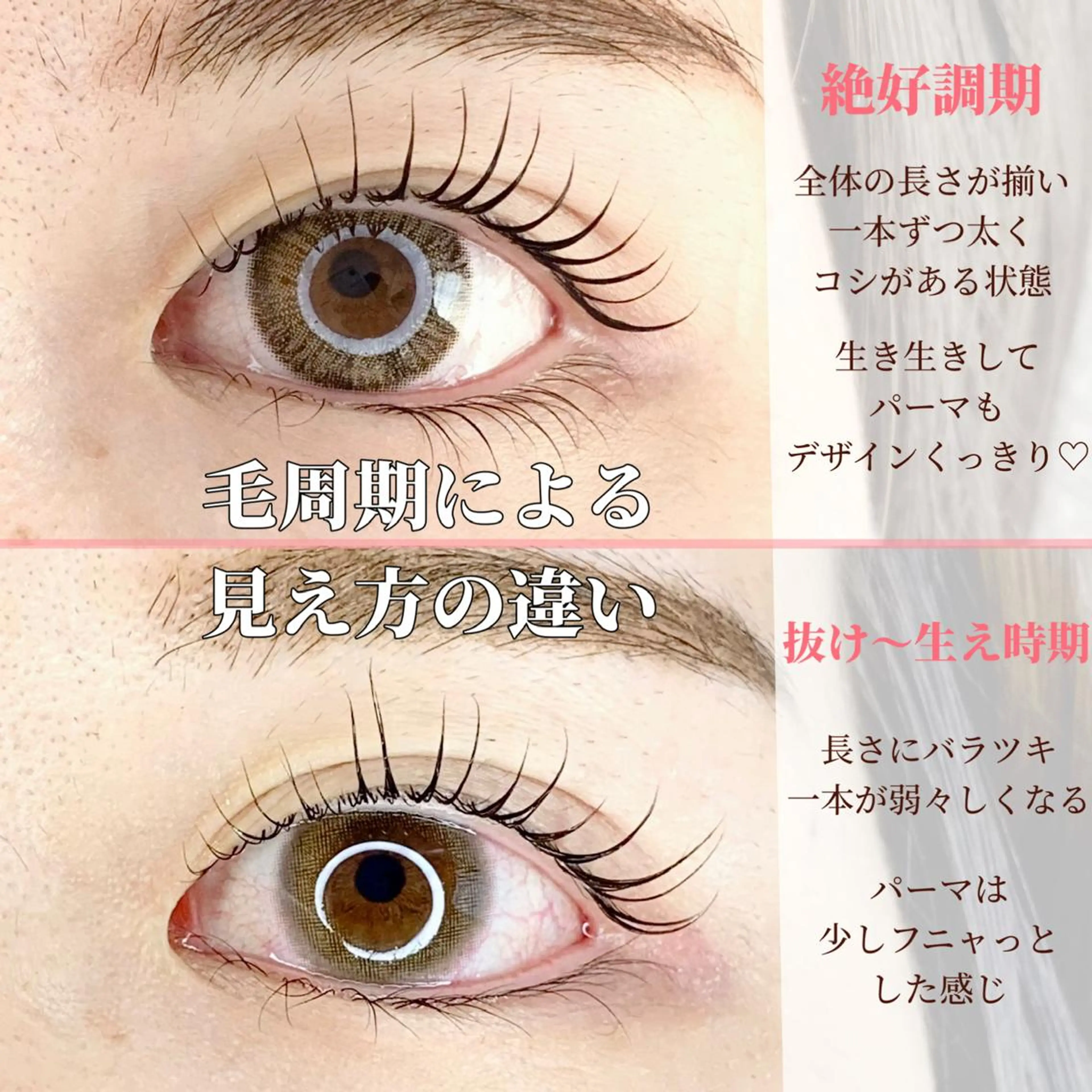 マツエク・マツパ chill&private A/N まつげパーマ/上下まつげパーマ/パリジェンヌ/南与野所属・まつげパーマ専門店 A/N南与野のマツエク・マツパデザイン