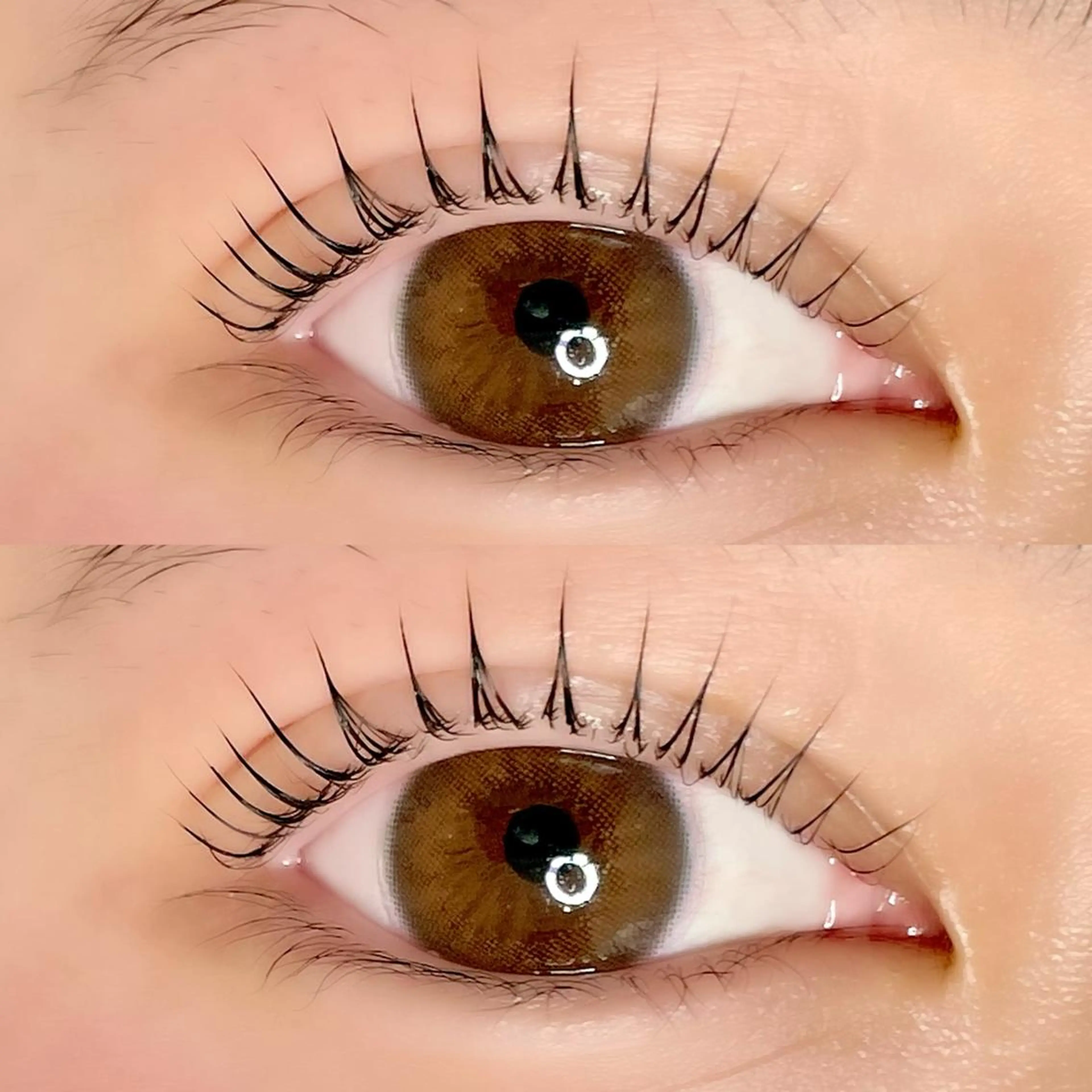 マツエク・マツパ AYLASH🧡 猪又のマツエク・マツパデザイン