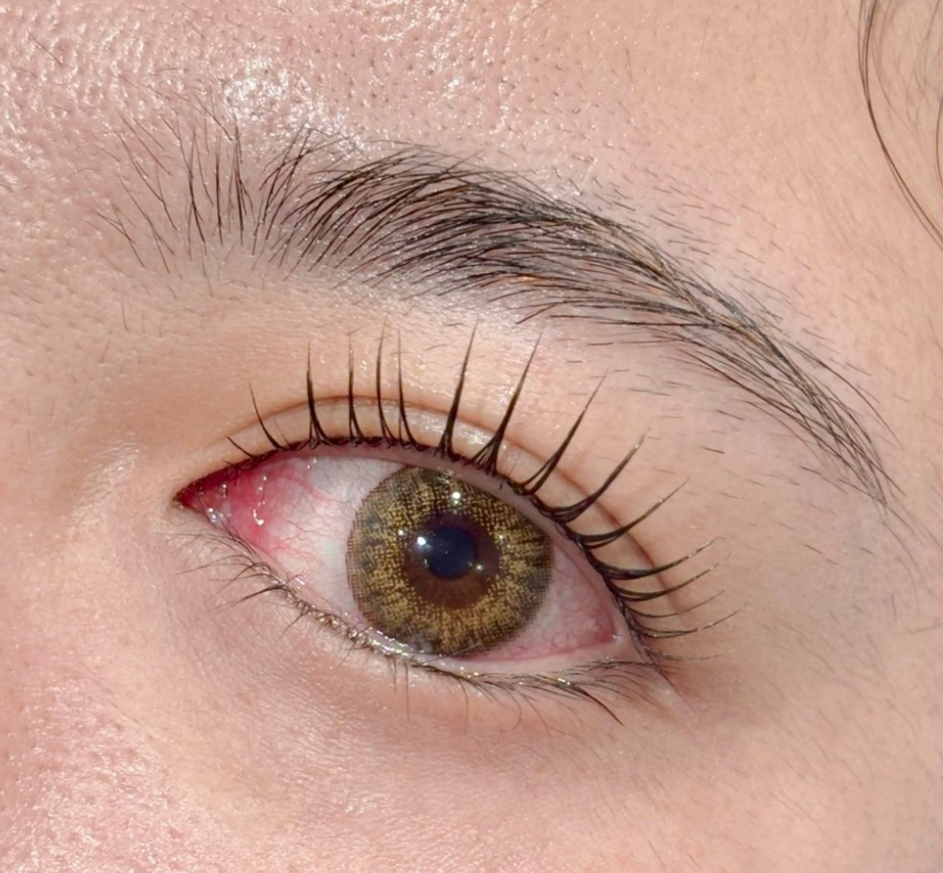 ラッシュリフト👀✨ナチュラル、パッチリ立ち上げカール⤴️🎀の写真