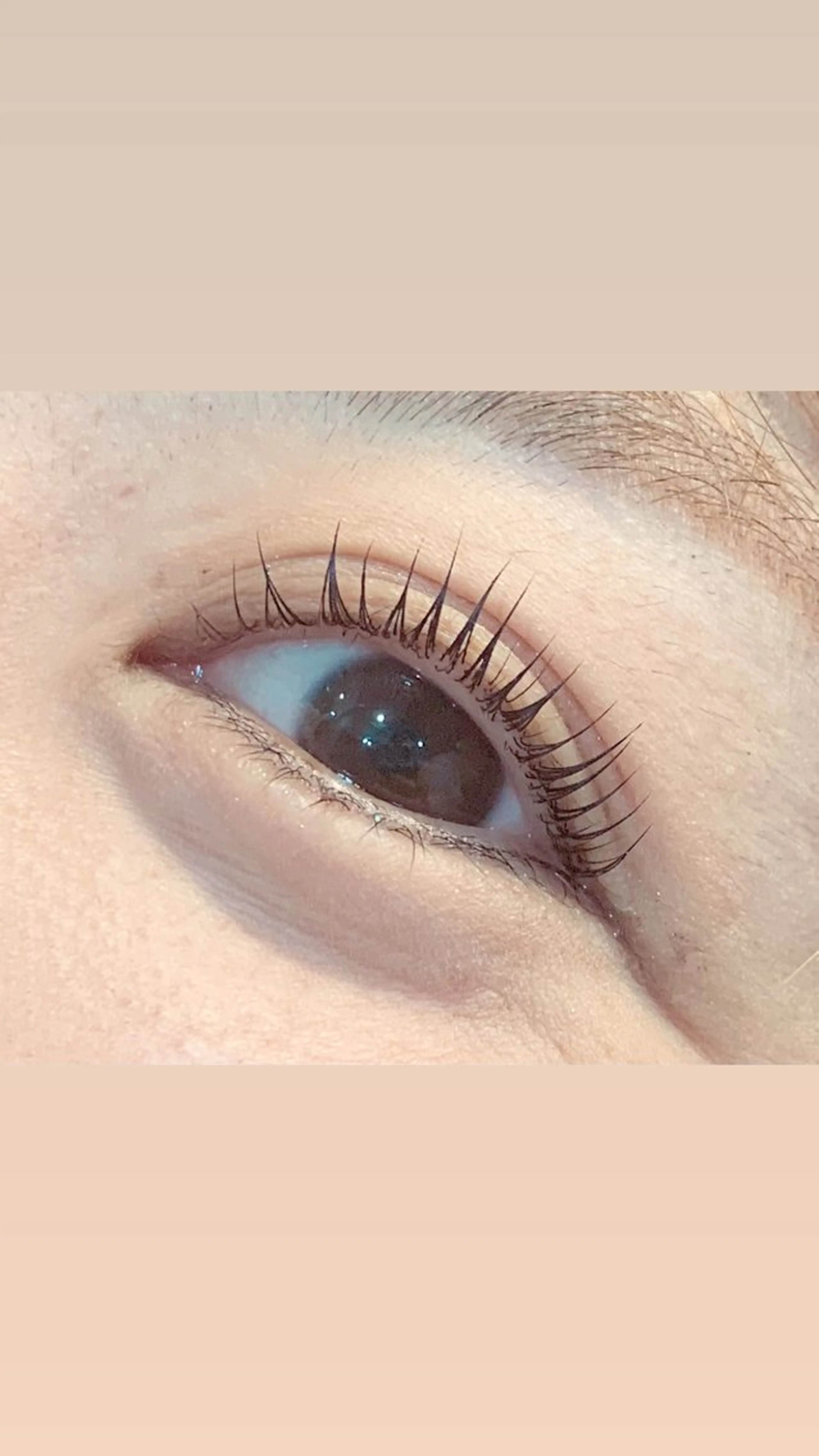 マツエク・マツパ パリジェンヌラッシュリフト hirakawa makoの眉毛・アイブロウイメージ