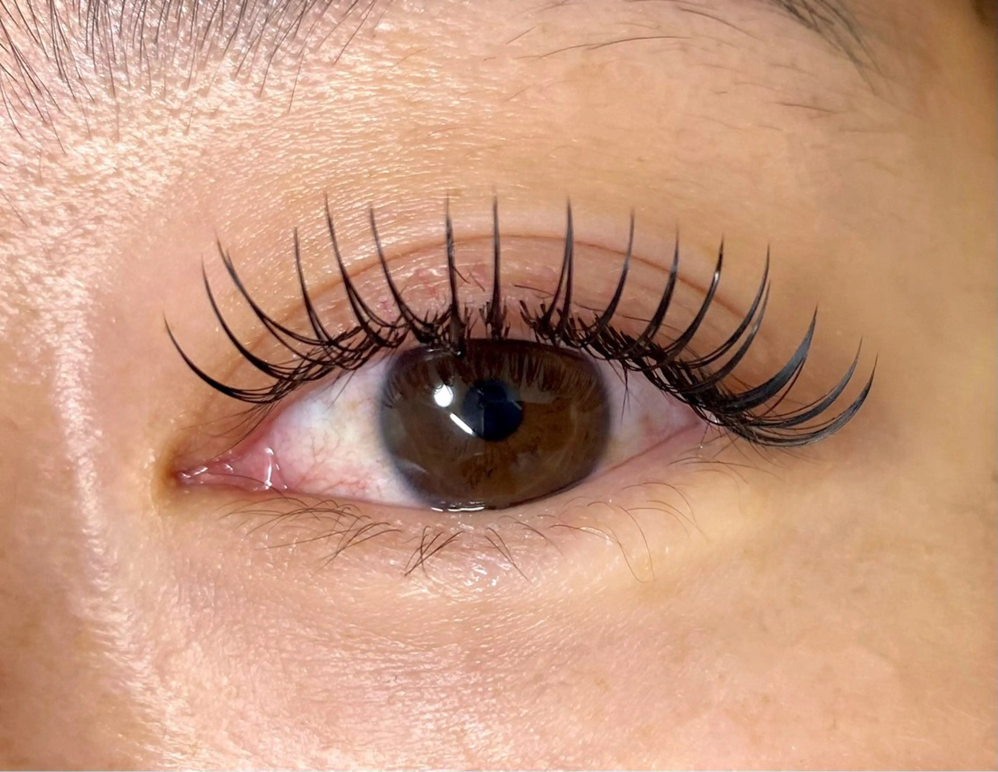 マツエク・マツパ マツエク OTAS yuzuhaの眉毛・アイブロウイメージ