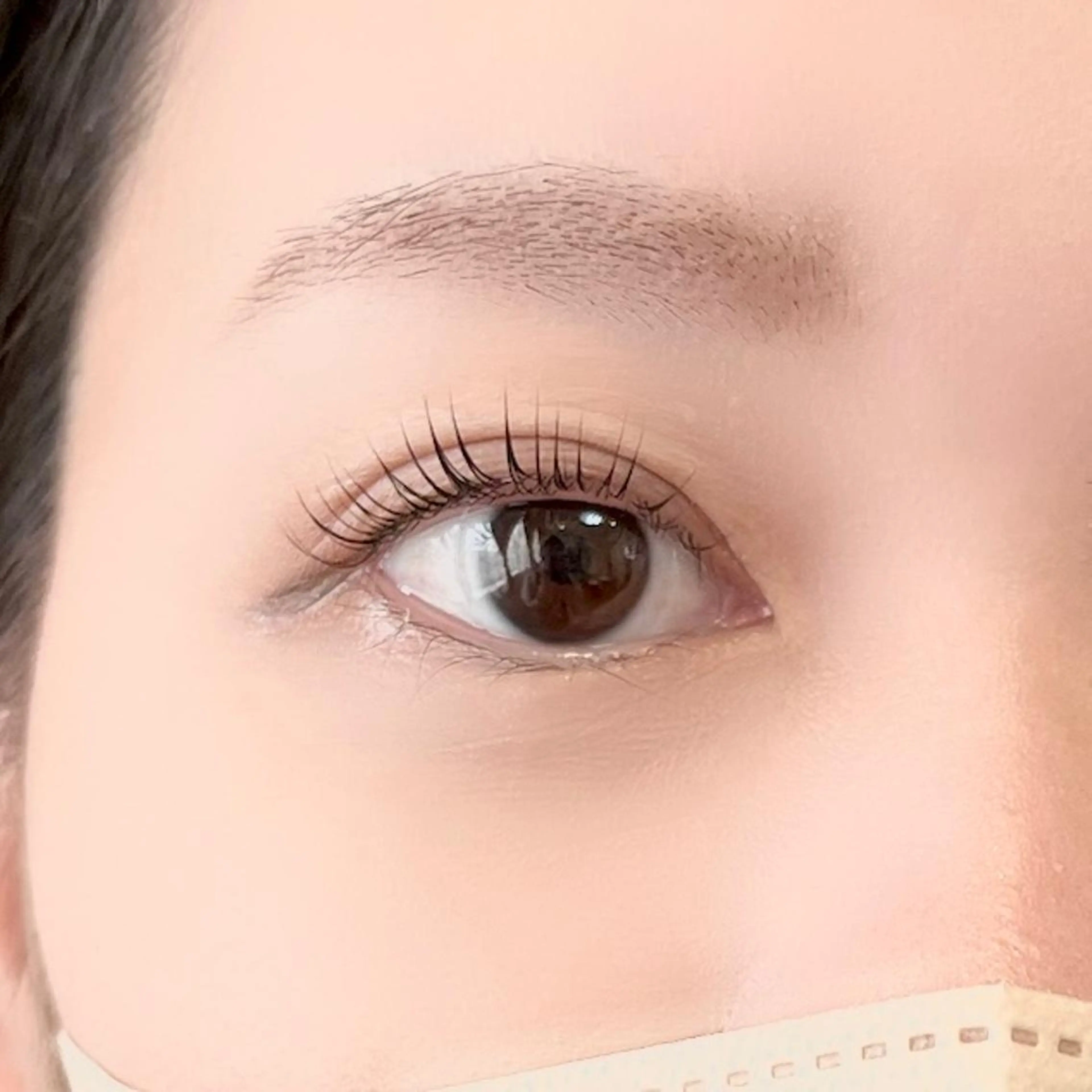 マツエク・マツパ ケラチンラッシュリフト マツパ 🦋平林 未莉🦋✨のマツエク・マツパデザイン