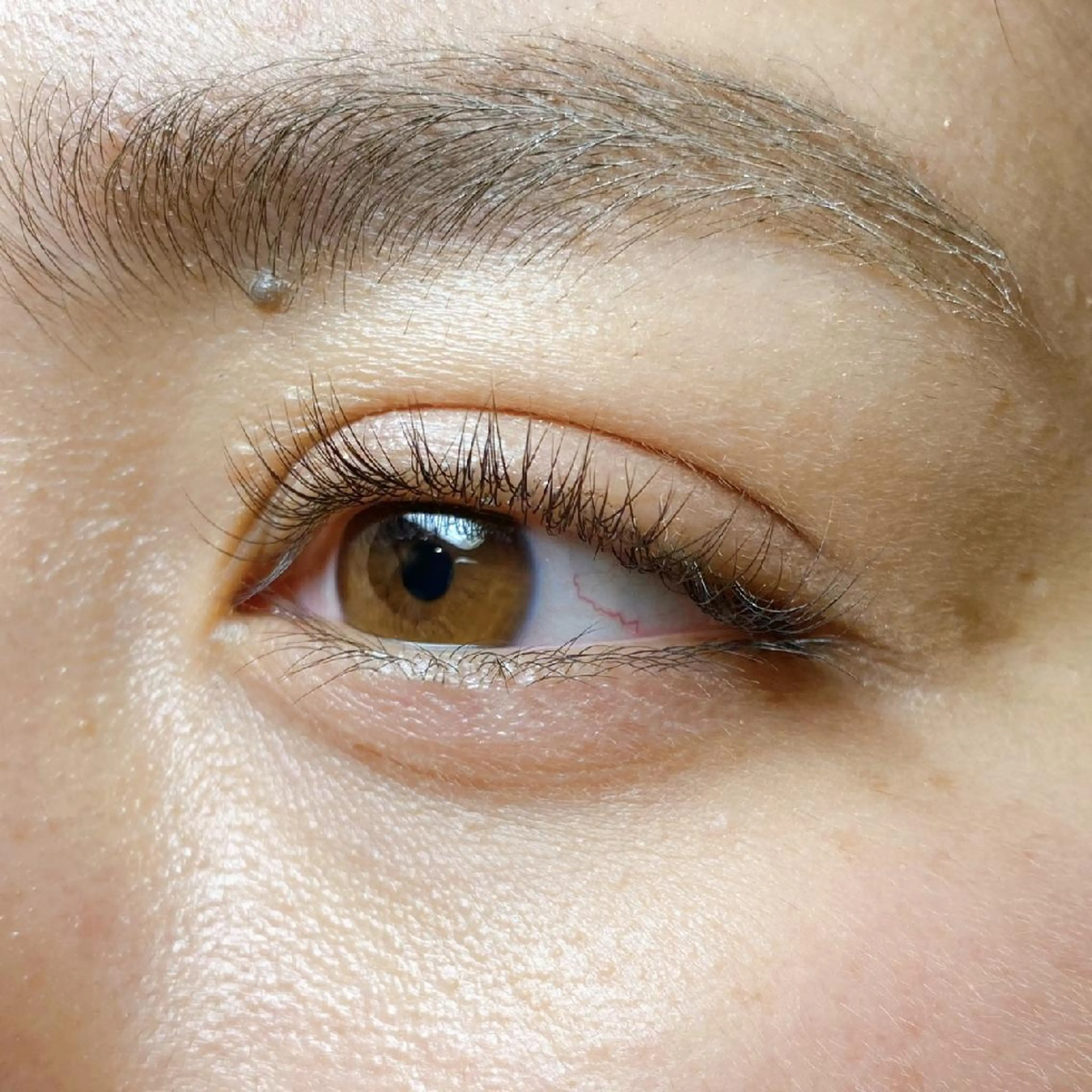 マツエク・マツパ パリジェンヌラッシュリフト 🍀CREA座間🍀 瀧澤のマツエク・マツパデザイン